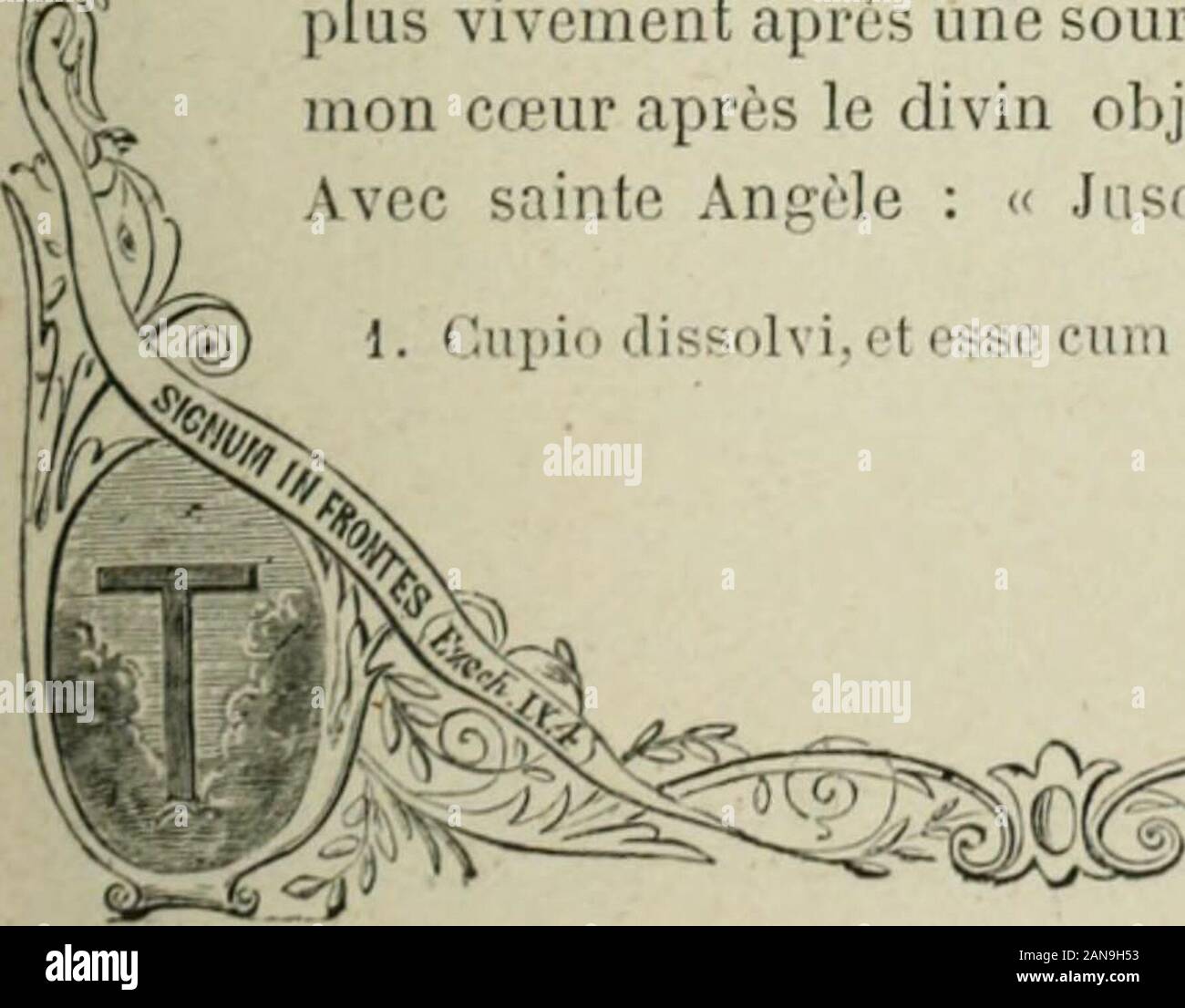 Les Symbole de la Croix. - Äh - candescent, un immense brasier Damour. Lalumière électrique ne projette Pas de plus vivesétincelles, ni le soleil de Rajons plus brûlants, que Lamour divin dans un Coeur jungfräulich. Sesardeurs sind semblables à Celles nicht se Consu- ment et Les anges resplendissent Devant le trônede Dieu. Lapôtre saint Jean nous dit que les vierges Chan-Zelt au Ciel cantique un Nouveau, que Nul autre nepeut Chanter. Quel est ce cantique, Sinon celuidont Les harmonieux battements de Leur coeurcommencent ici-bas à moduler Les soupirs dontles lüftet, et de Leur amour sind comme le pré-lu Stockfoto