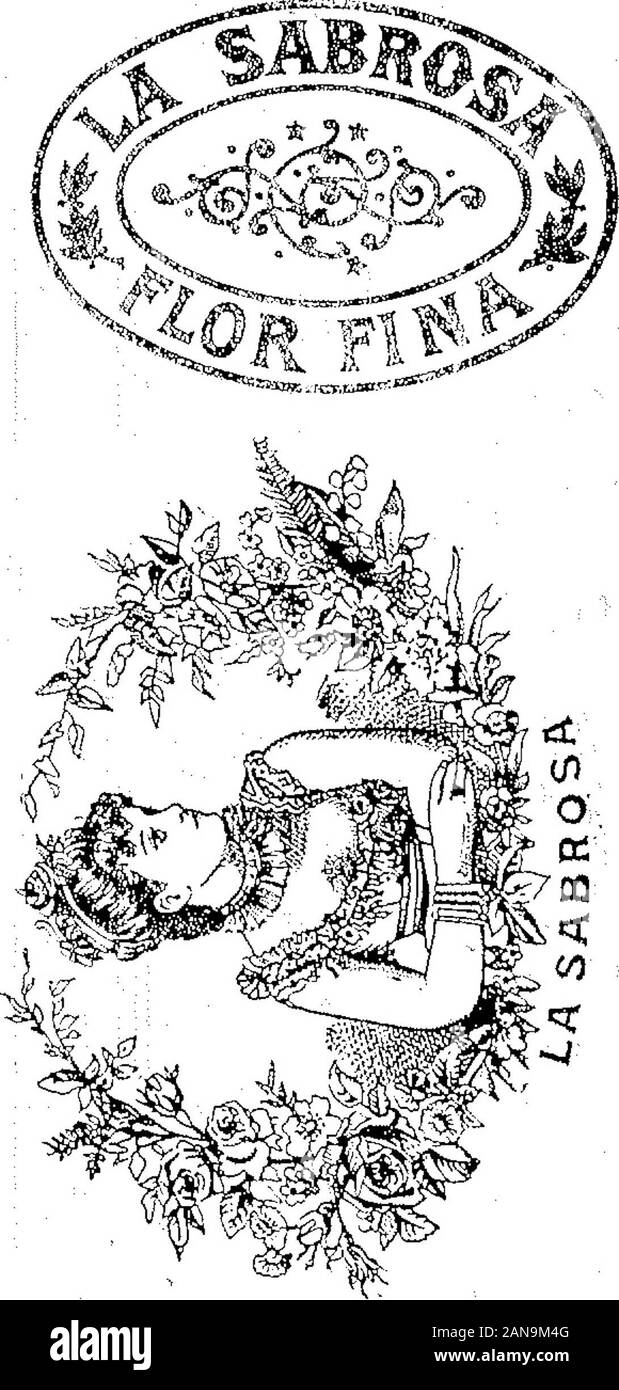 Boletín Oficial de la República Argentina 1902 1 ra sección. Febrero 1902 ,18 Demir bebidas - Roig y Cía. - I&gt; isti n-v-24 de Febrero. m%a%™* "mBoletin Oficial Republica Argentinien 1 ra Mitgliedersektion 1902-02-20 Stockfoto