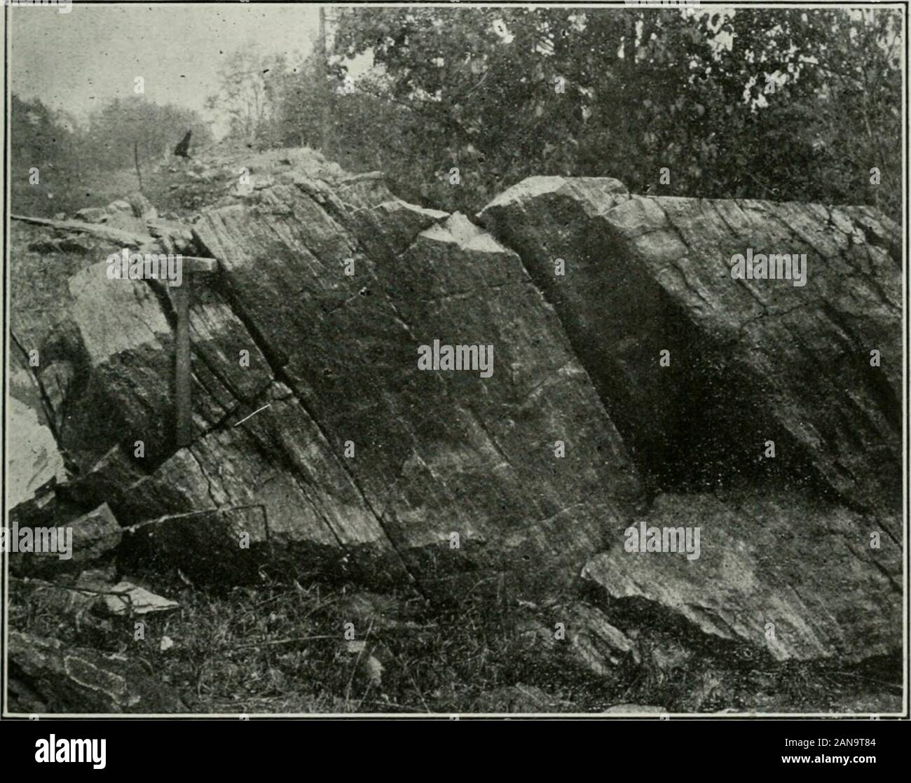 Jahresbericht. Geologie der Südöstliche Ontario 25 Schiefer ist etwa zwei hundert Meter breit, über die schistosity gemessen, während in Roddybay, in der Nähe der Mündung des Flusses, die Schiefer ist sehr viel dünner. Es appearsto einen allmählichen Übergang, in aufsteigender Reihenfolge, zwischen dem Greenstone Schiefer, Quarz, Glimmer, Schiefer und Kalkstein. (3) Eisen Formation (Gebändert hornstein oder körniger Quarz). - Das Bügeleisen Bildung hat beenso - wegen seiner Ähnlichkeit mit bestimmten cherty Felsen der Bügeleisen genannt reicht in der theVermilion Bezirk des Lake Superior Region und anderswo. Im Belmont lakearea Drei werden Stockfoto