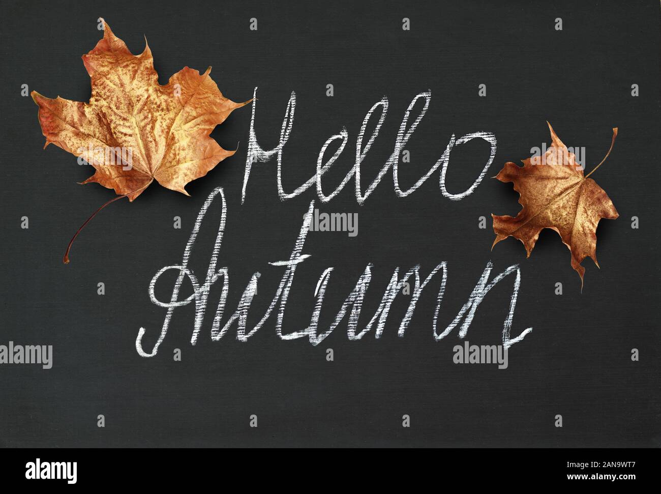 Schwarze Schiefertafel mit goldener Ahorn Blätter und Schriftzug Hallo Herbst. Flach. Ansicht von oben. Stockfoto