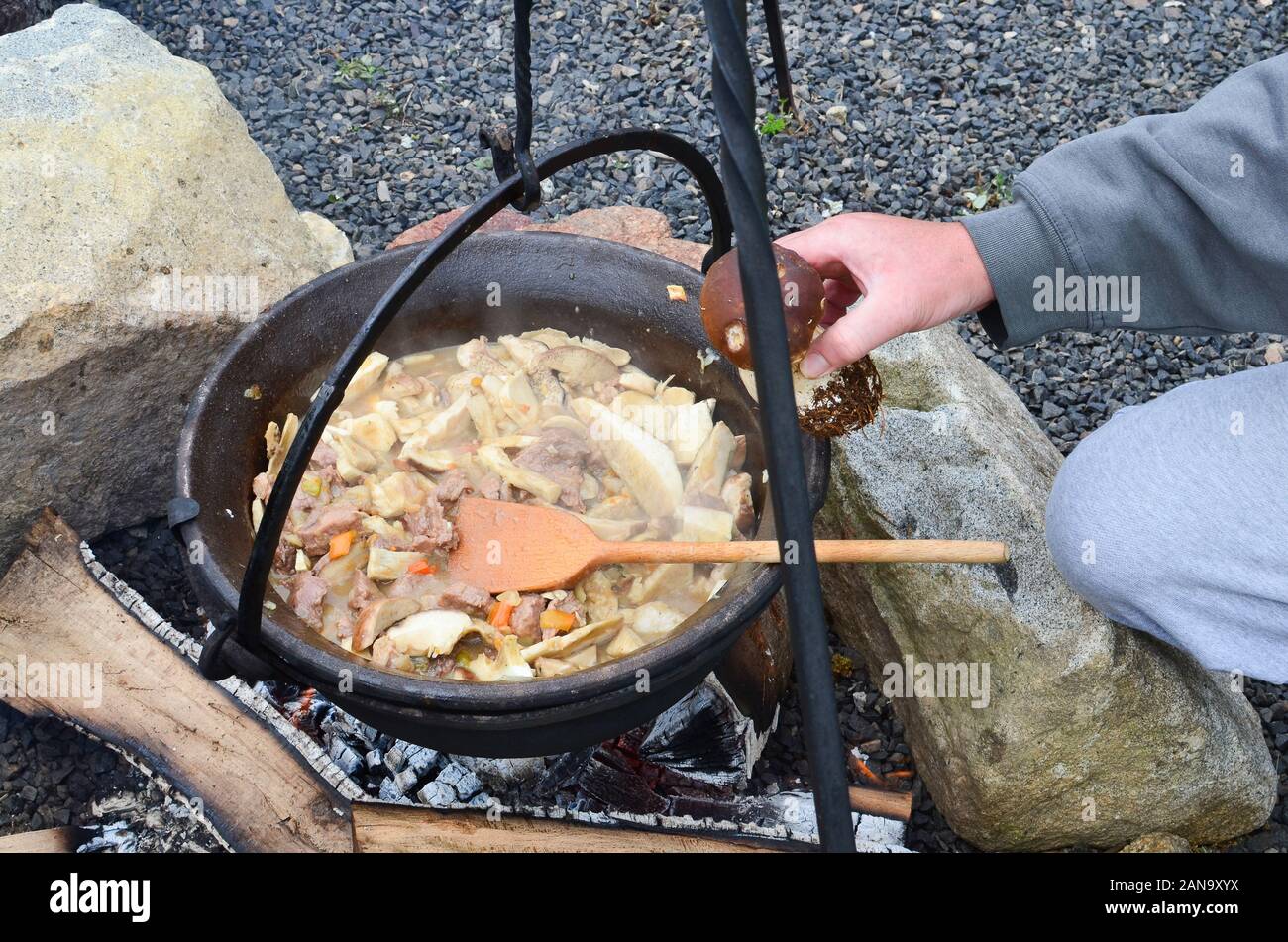 Vorbereitung Pilze und Gulasch auf offenem Feuer in einem Wasserkocher, überlegen einige extra Steinpilze Stockfoto