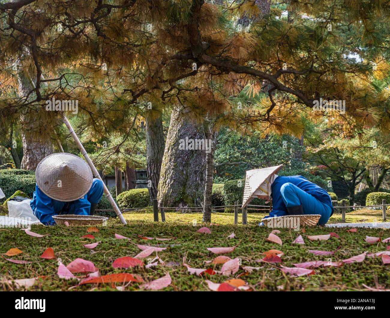 Kenrokuen Garten in Kanazawa, Japan Stockfoto