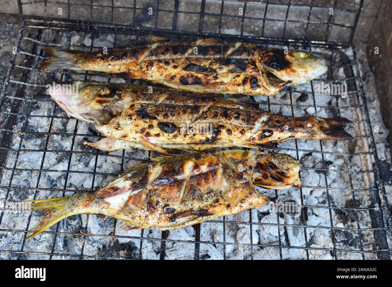 Frische und gesunde Fische, Wolfsbarsch und goldline auf einem Raster über brennende Holzkohle, Gegrilltes und fast fertig bedient zu werden. Stockfoto