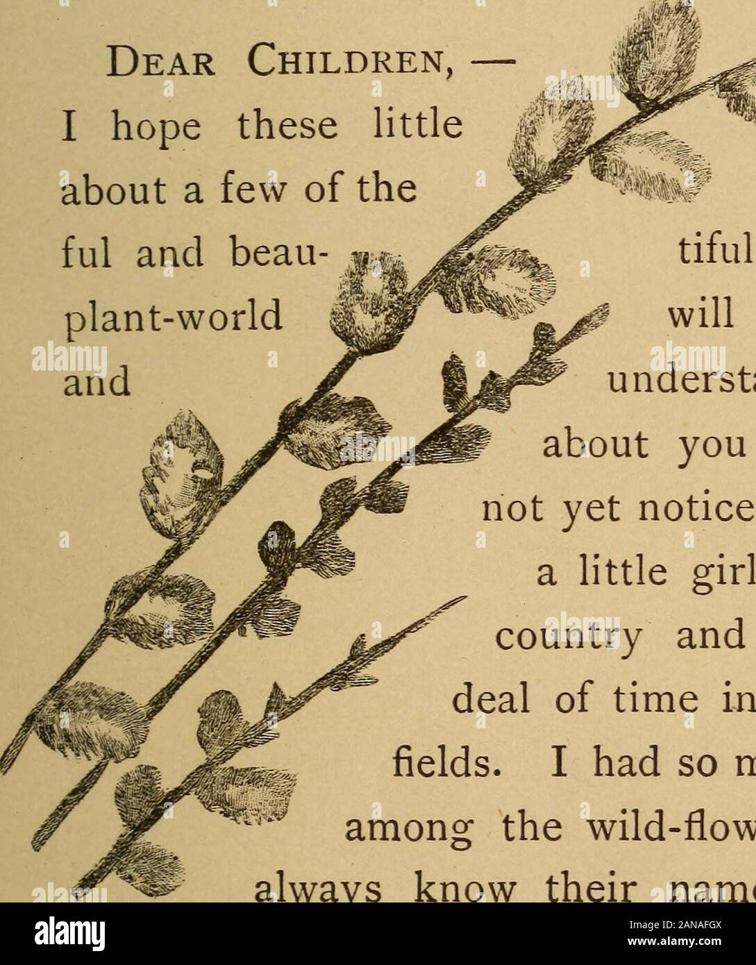 Blicke auf die Welt. t; INHALT. Seite Blicke auf das Werk - Welt i I. Was ist ein Werk? 13 II. Die Anlage macht Brot steigen. 17 III. Was ist Schimmel? 20 IV. Ein Wort über fliegenpilze 25 V. Einige andere Flowerless Pflanzen ... 28 VI. Frosch - Spit 34 VII. Ein Garten im Meer 41 VIII. Meer Pflanzen {Fortsetzung) 45 IX. Robin - Weizen 51 x Farne 58 XI. Die Walking-Farn 62 XII. Eine Anlage in Rüstung 67 XIII. Die Bettwäsche Anlage 73 XIV. Zusammenfassung 77 XV. Die Teile der Blume 80 XVI. Wie Samen sind 87 vi perfektioniert, INHALT. Seite XVII. Wie die Blumen ihre Pollen Auto - Ried 93 XVIII. Einige Pollen - die Luftfahrtunternehmen ioo Stockfoto