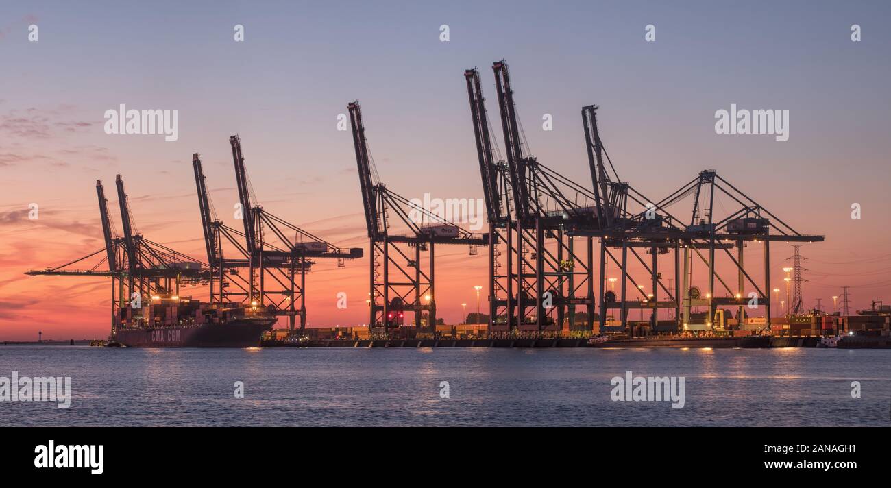 Antwerpen - SEPTEMBER 20, 2019. Container Terminal am roten Sonnenuntergang.. Antwerpen ist eine der am schnellsten wachsenden Containerhäfen in Europa. Stockfoto