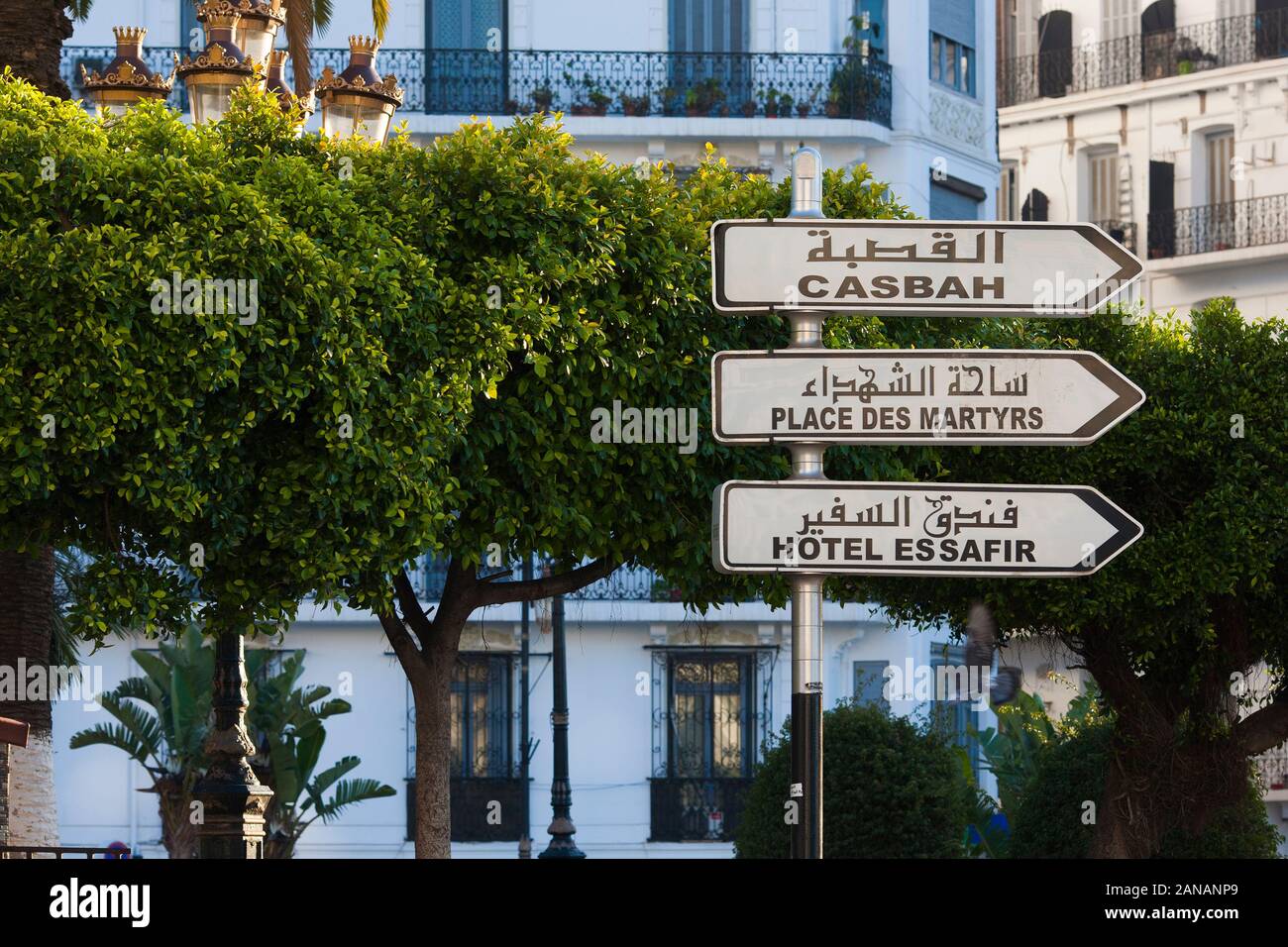 Algier das Weiß bezieht sich auf weiße Reihenbauten an und um die Promenade des Sablettes, die der Stadt ihren ikonischen Look verleihen. Algier Algerien. Stockfoto