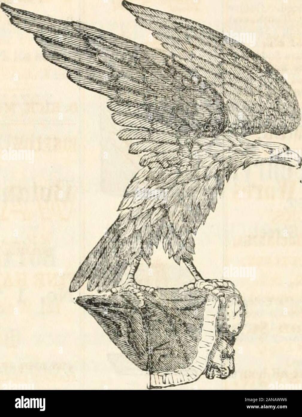 Die Boston Verzeichnis.. . Raffinierte Salpeter, gebrannter Magnesia, Chlorid Soda, Äther Schwefelsäure, Lachgas, chlorhaltige, Salze Zahnstein, ppt. Hydriodate Potass, Soda, Schwefel. Ammoniaklösung, Flors Benzoe, Rochelle Salze, und Seidlitz Pulver, Soda Pulver, Kalilauge, Zahnstein Brechmittel, Oxid Zink, Wismut, Preston Salze. Roten und weissen Niederschlag, vor. Sulph. Antimon, Tinte, Schwarz, Rot, Unverwischbar, Rosenwasser, Zitrone Sirup, schonen Rose, karbonat Eisen, Britische Liistre, &c., &c. Büro, Nr. 8 HIGHBORN BLOCK, ANN STREET BOSTON. Uhren, Schmuck, etc. JONES, BALL & Poor f220 Washiiifftoii, adr. von SHiiiiiier St., Boston. S Stockfoto
