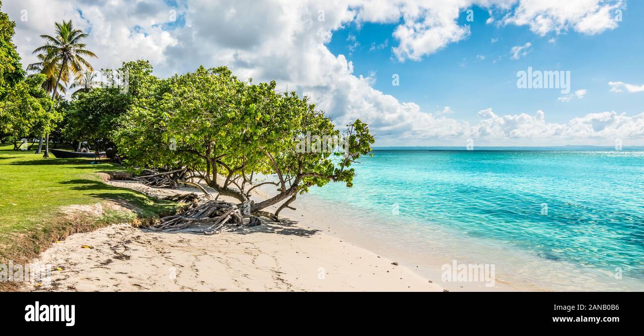 Panoramablick auf den Strand von Cayo Levantado, die Bucht von Samana, Dominikanische Republik. Stockfoto