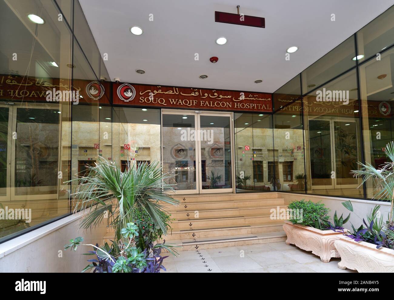 Doha, Katar - Nov 21. 2019. Souq Waqif Falcon Hospital Stockfoto