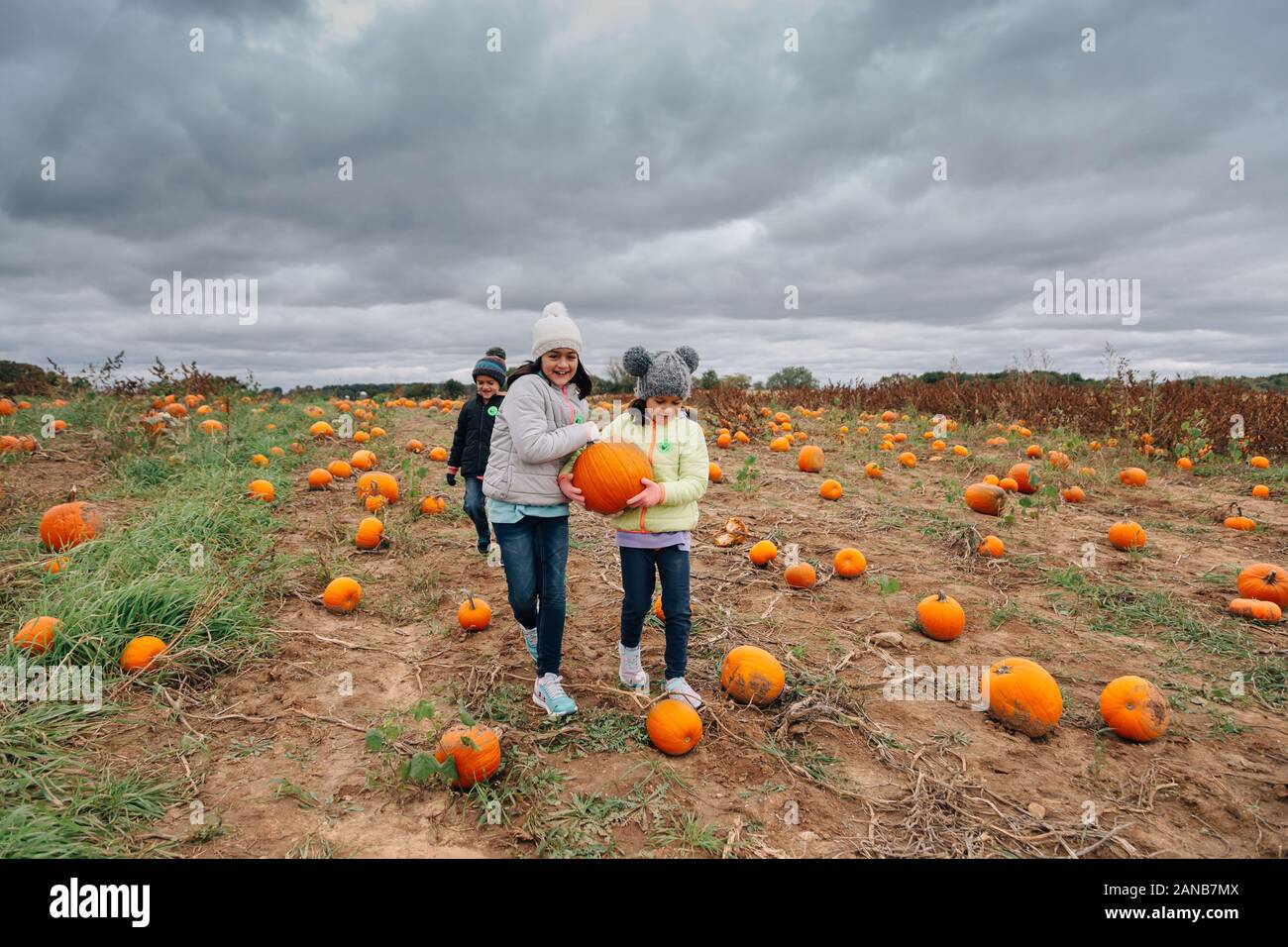 Kinder mit Kürbis in Pumpkin Patch. Stockfoto