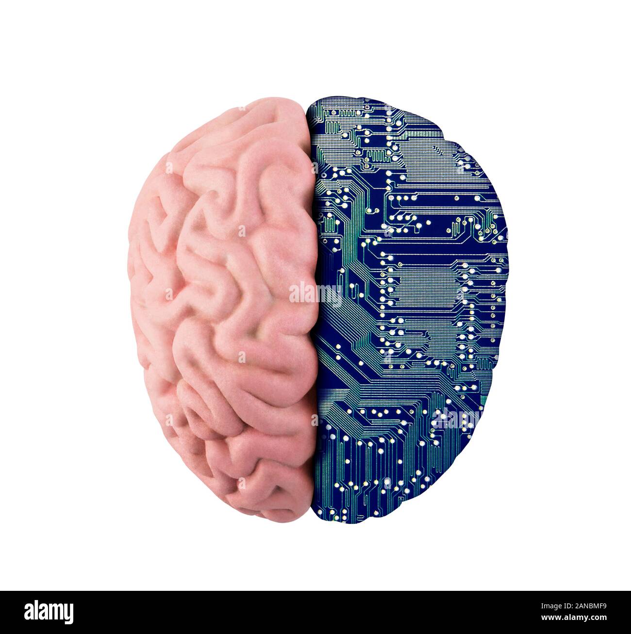 Computer Human Brain isoliert auf weiß mit Clipping-Pfad Stockfoto