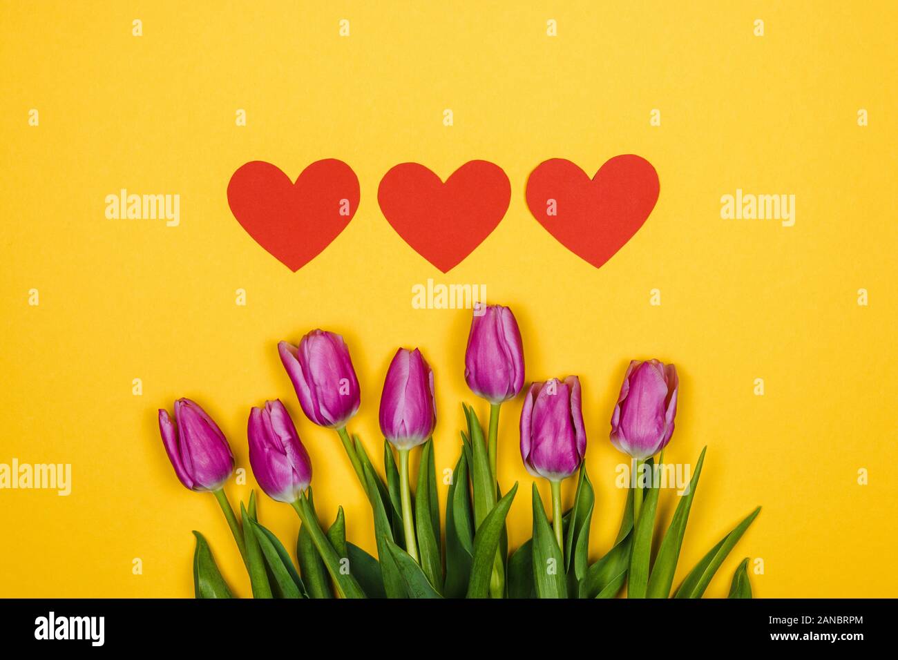 Rosa, Lila Tulpen und drei roten Herzen auf gelbem Hintergrund Stockfoto