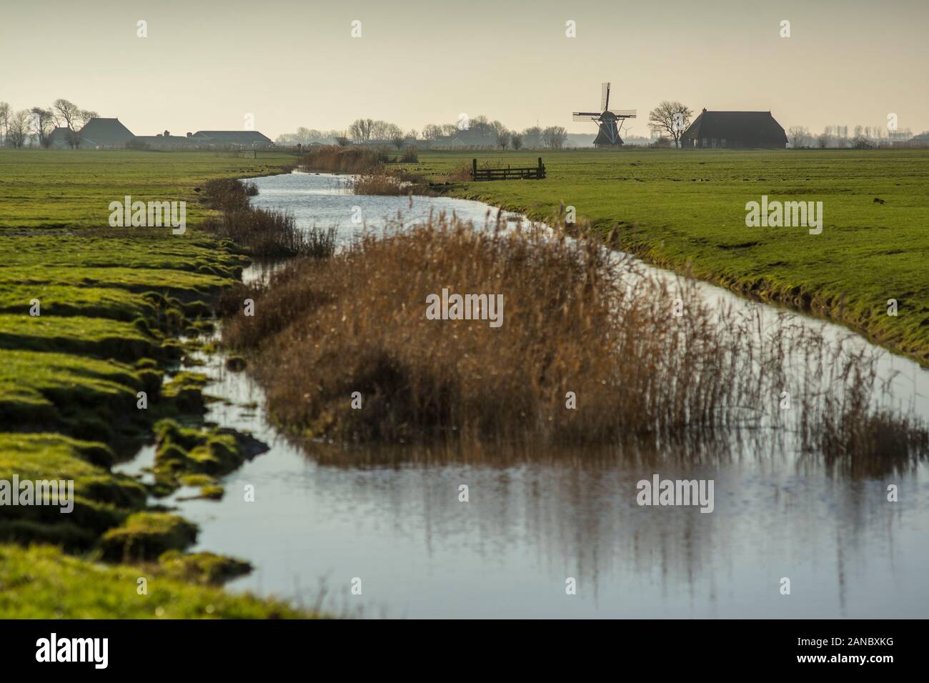 Eine friesische Landschaft auf der Noordermiedweg in der Nähe von Hallum, die Niederlande 2019. Stockfoto