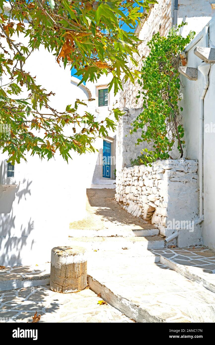 Typische griechische Island Village Szene in Filoti Schritte und verrückten ebnet auf schmalen pathwith überhängende Zweige und Blätter zu Eingang zu Hause Stockfoto