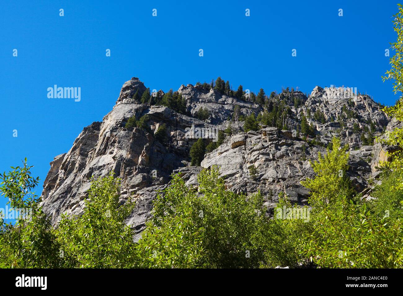 Blick auf den majestätischen Berg aus Granit Wände der Cascade Canyon. Stockfoto