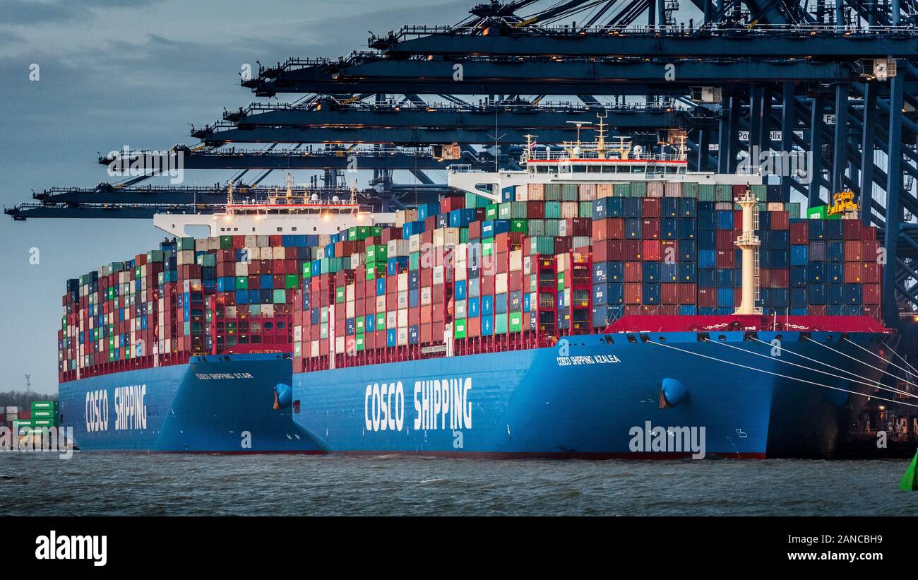 COSCO Container Ships im Felixstowe Port UK - COSCO Shipping, die China Ocean Shipping Company, ist einer der weltweit größten Containerschiffbetreiber Stockfoto