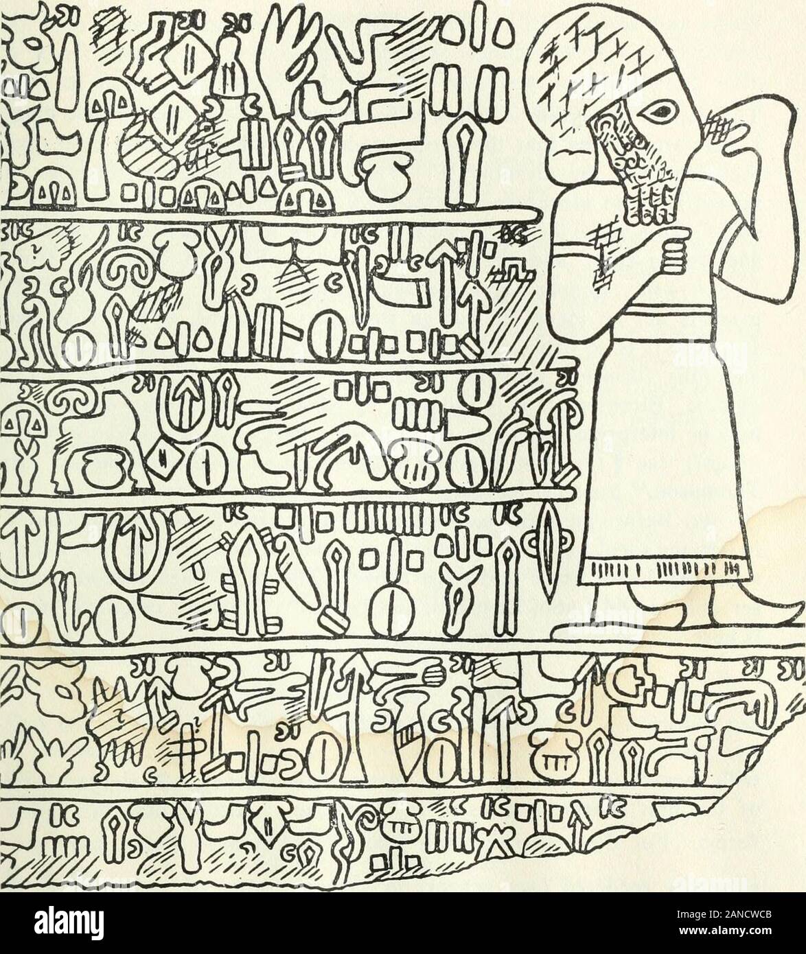 Cheek The Stockfotos Cheek The Bilder Seite 10 Alamy