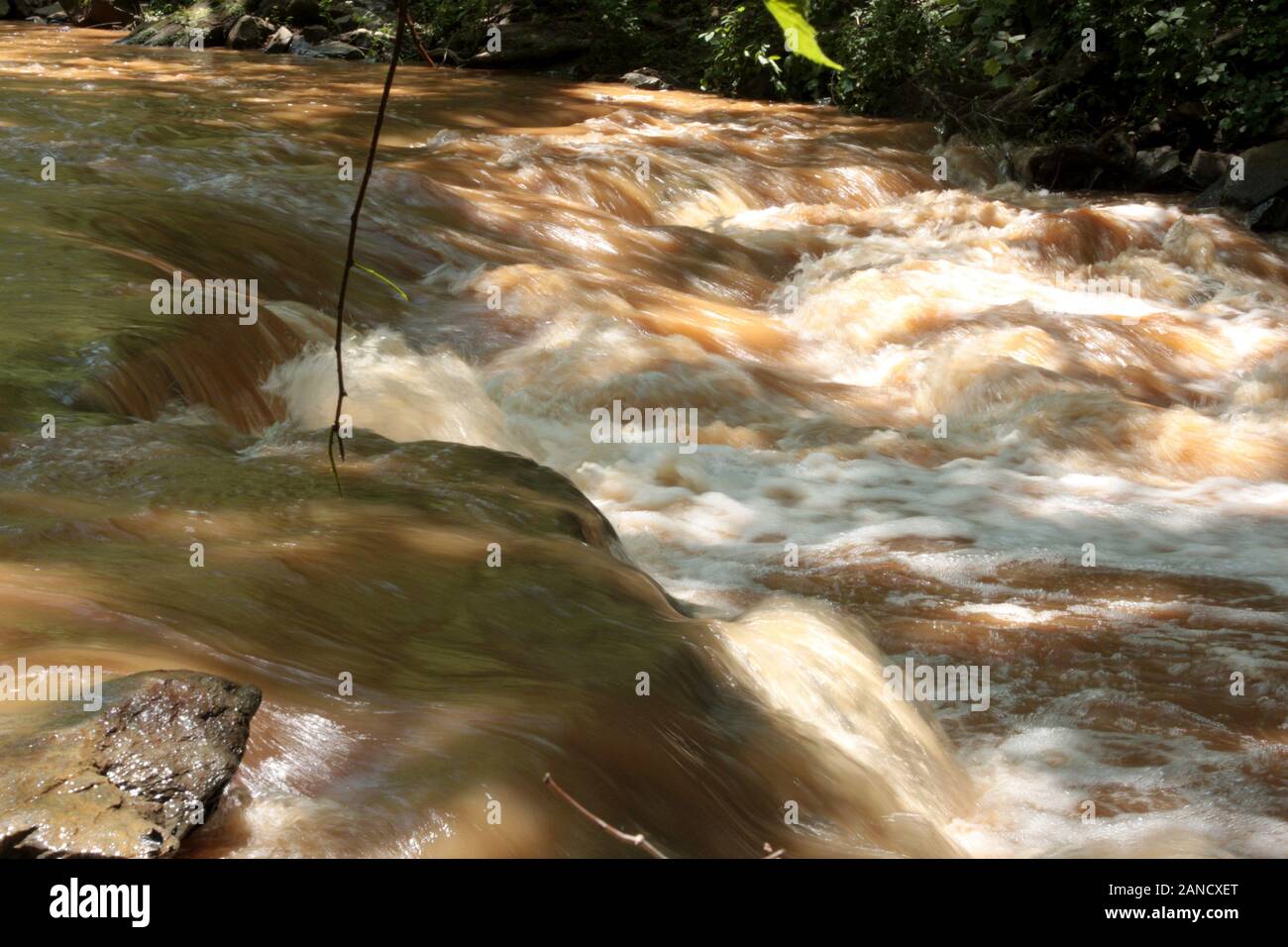 Muddy Creek Wasser nach starkem Regen Stockfoto