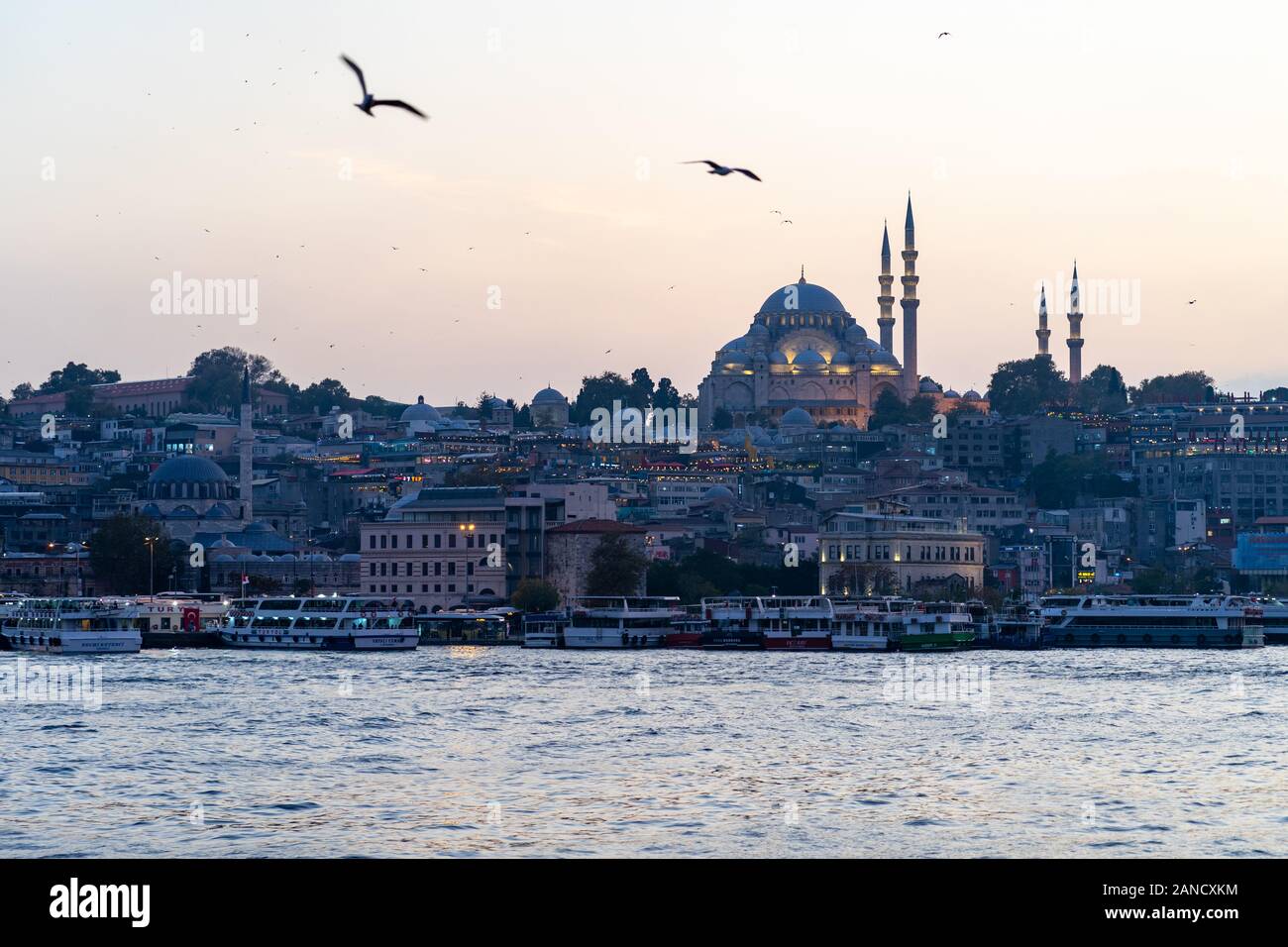 Vögel fliegen über Istanbuls Moschee während des Sonnenuntergangs im Oktober Stockfoto