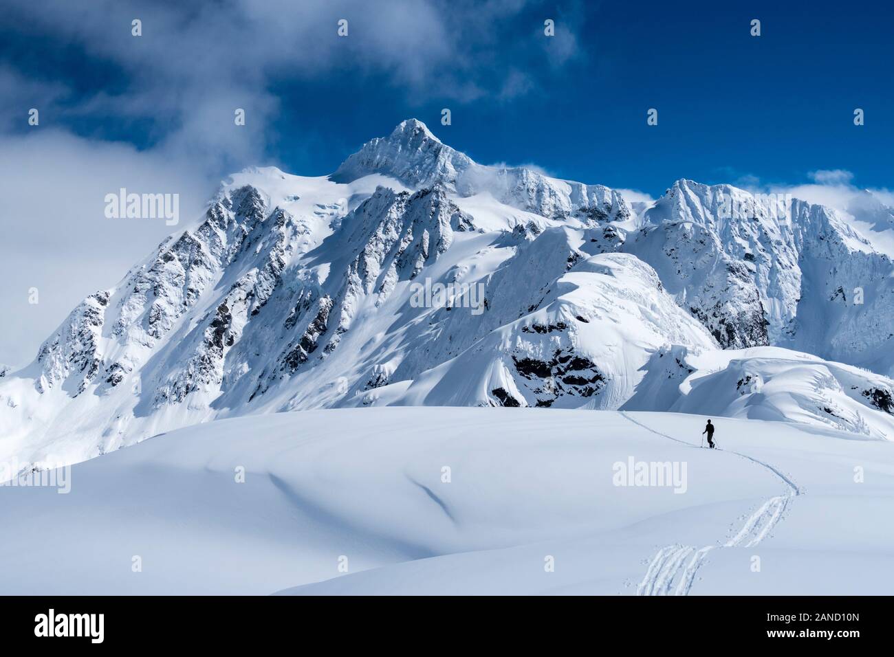 Tyree Johnson, Mt. Baker, WA Stockfoto