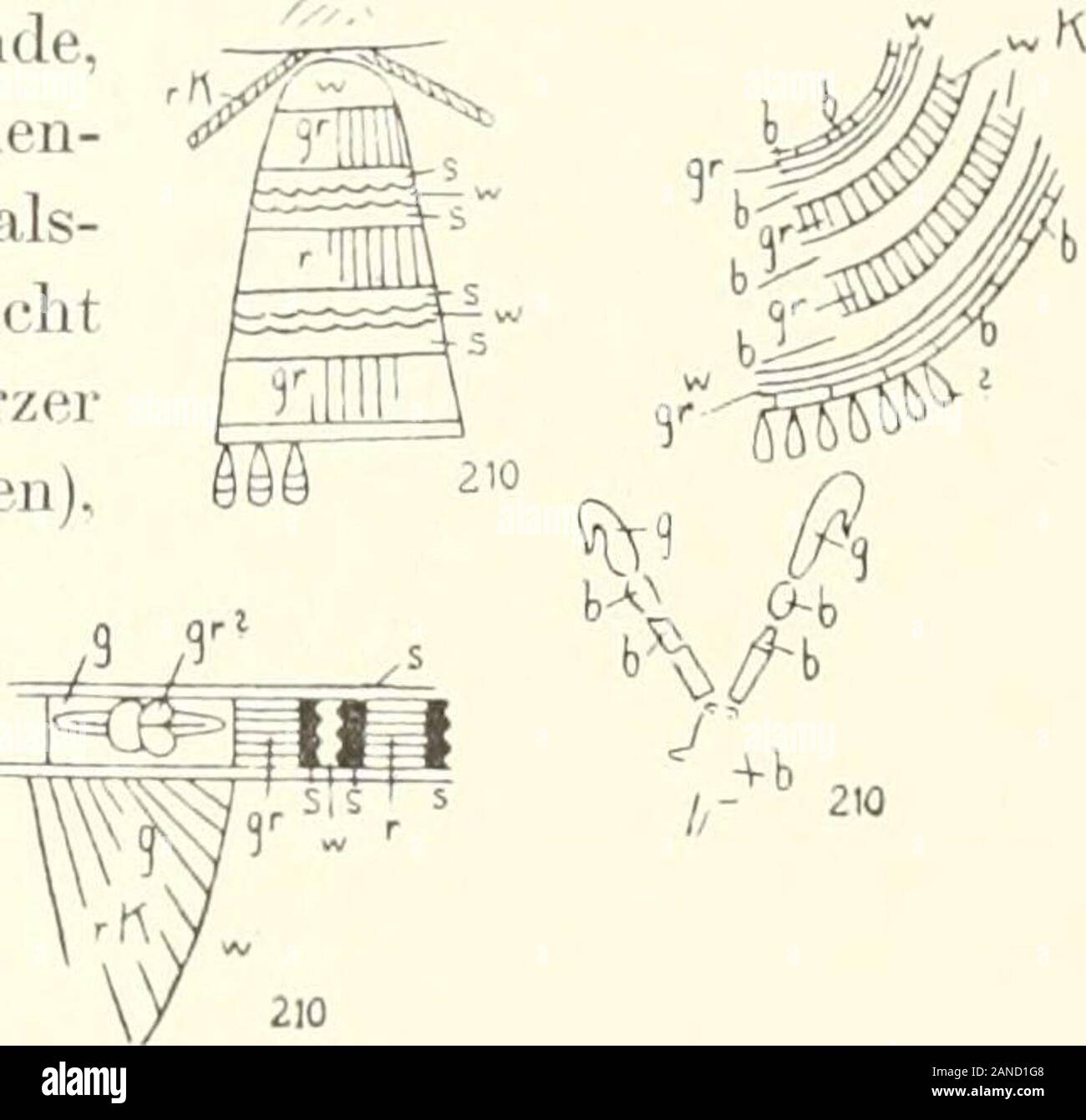 Weisser kalkstein Fotos und Bildmaterial in hoher Auflösung Alamy