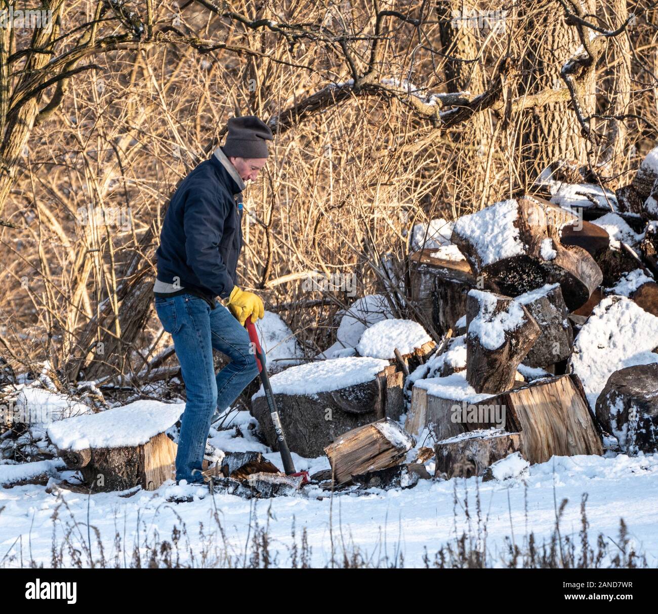 Berks County, Pennsylvania, USA: Januar 8, 2020: Mann Brennholz auf verschneiten kalten Tag im Winter Stockfoto