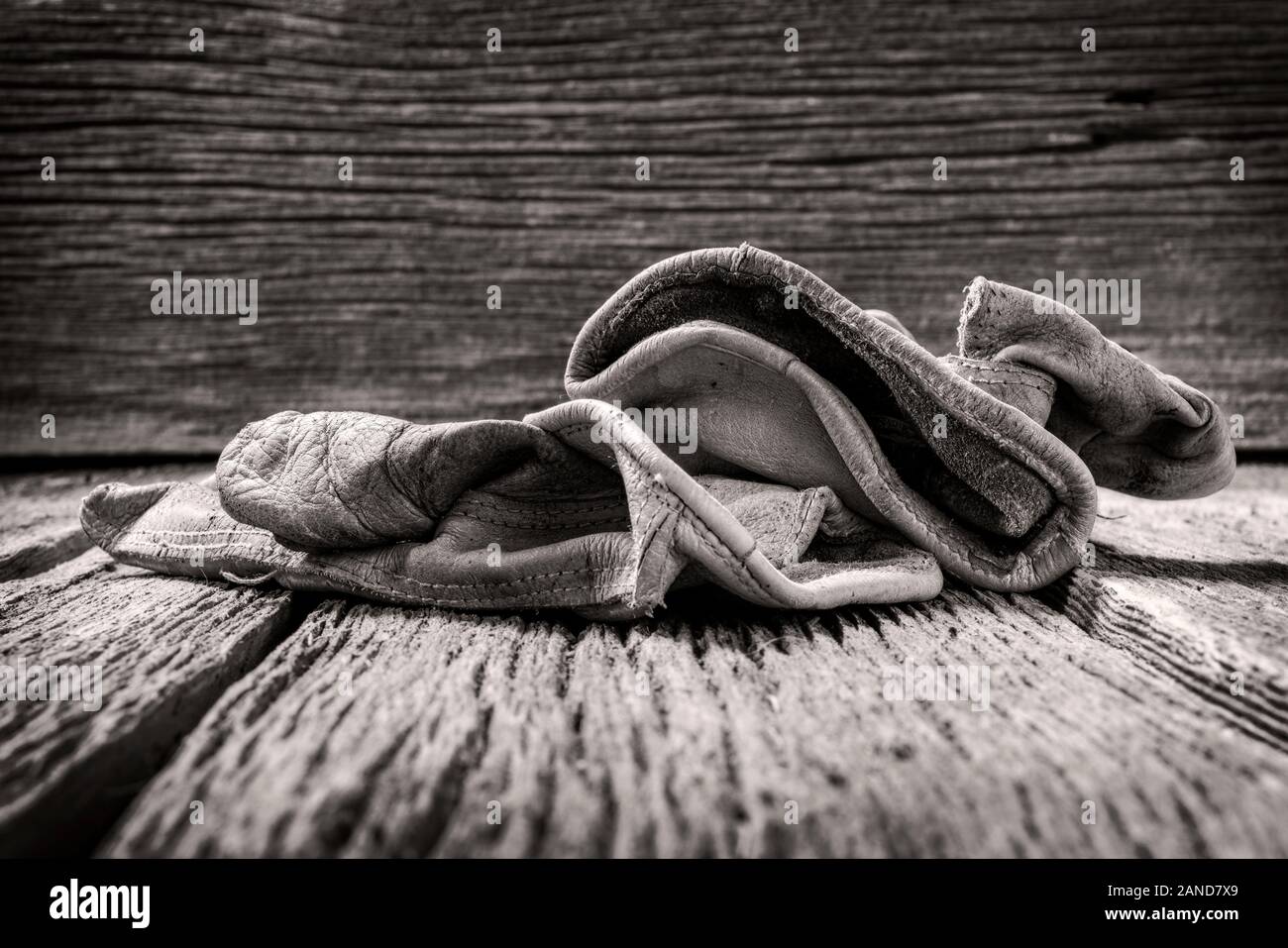 Black & White studio Still life Close-up von verschlissenen Leder Arbeitshandschuhe Stockfoto