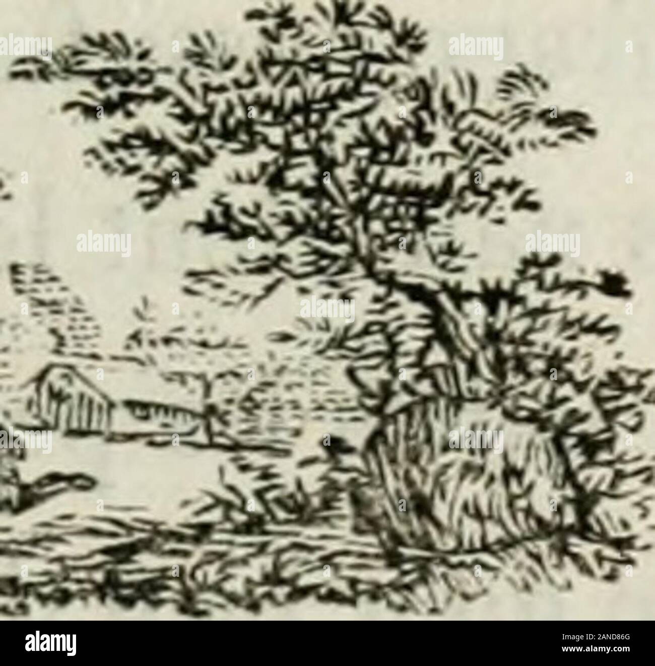 Fabeln von Lessing. 3a Fabeln von Lessing, FABEL X. LE GRILLON ET LE ROSSIGNOL. Ma voix", e 10 déplaise, einem des admirateurs, Disait au Rossignol le Grillon lächerlich machen. - Peux-tu mir les Nommer, Car je suis incrédule? -Des laborieux moissonneurs Ne orkb-je pas Charmeur loreille! Ils trouvent, Jen suis sûr, que je Chante à merveille 5 Et Tu convenir que Dois, dans le Genre humain, Cest la classe la plus utile. Sans Doute, dit le chantre au Ramage divin 5 Mais peux-Tu Te montrer vergeblich Dun Wahlrecht aussi sinnlos? Et ces mortels naïfs dont Le pénible état Absorbe toutes les Pensées, Ont-ils le goût bien Déli Stockfoto