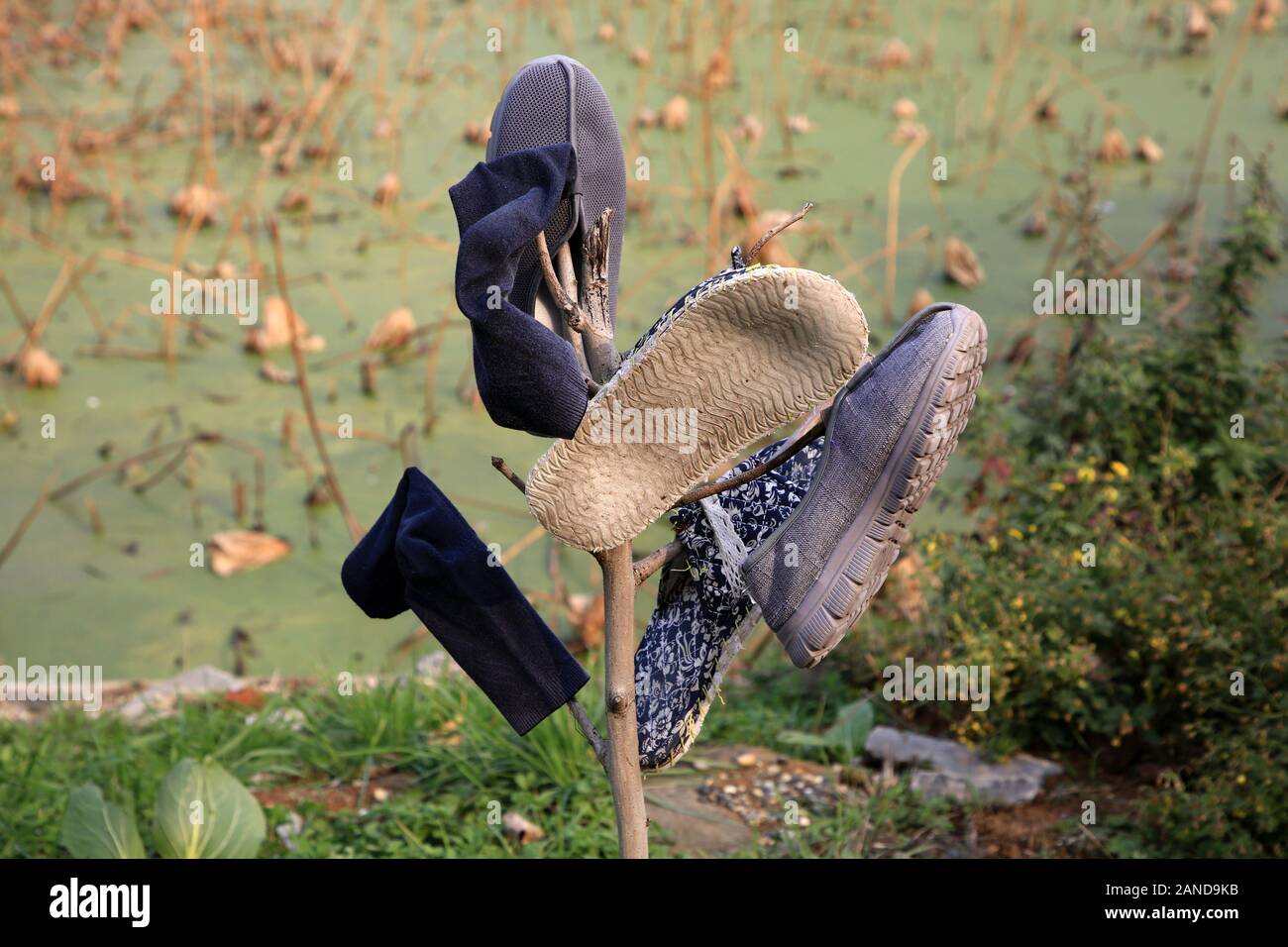 -- File-Shoes sind auf Zweige und Äste in Xiangyang Stadt hing, der Central China Provinz Hubei, 28. November 2019. Stockfoto