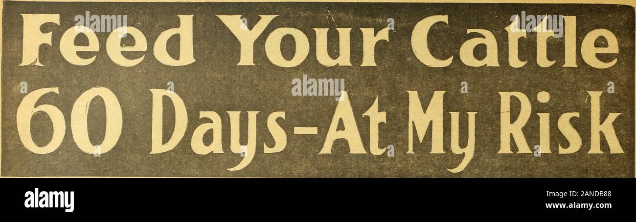 Oklahoma Landwirt. Die OKLAHOMA LANDWIRT 25. Januar lJi/.. Und Sie erhalten eine Dieser 5,00 $ wolle PFERD DECKEN rKCE mein Lager Tonic nur tausend weitere readersof Zu diesem Papier werde ich weg zu geben tausend schöne WoolHorse Decken - Absolut kostenlos vorstellen. Kranke auf einmal senden tausend Leser dieses Papier, die auf dem Coupon unten an der ersten. Mit dieser decke ich stimme auch eine große Studie Fütterung von zu senden Stockfoto