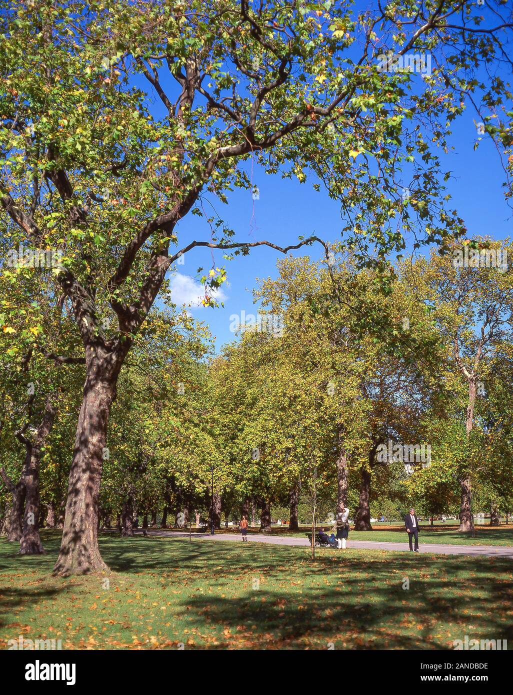 Hyde Park im Herbst, Westminster, London, England, Vereinigtes Königreich Stockfoto