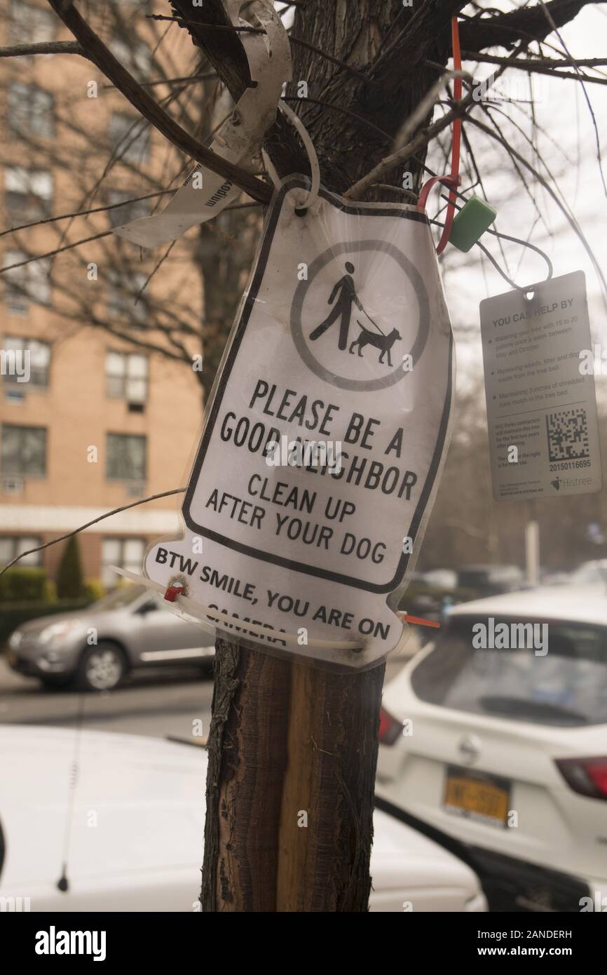 Melden Sie sich an einen Baum gebunden Hundebesitzer daran erinnern, nachdem ihre Hunde im Windsor Terrace Nachbarschaft von Brooklyn, New York. Stockfoto