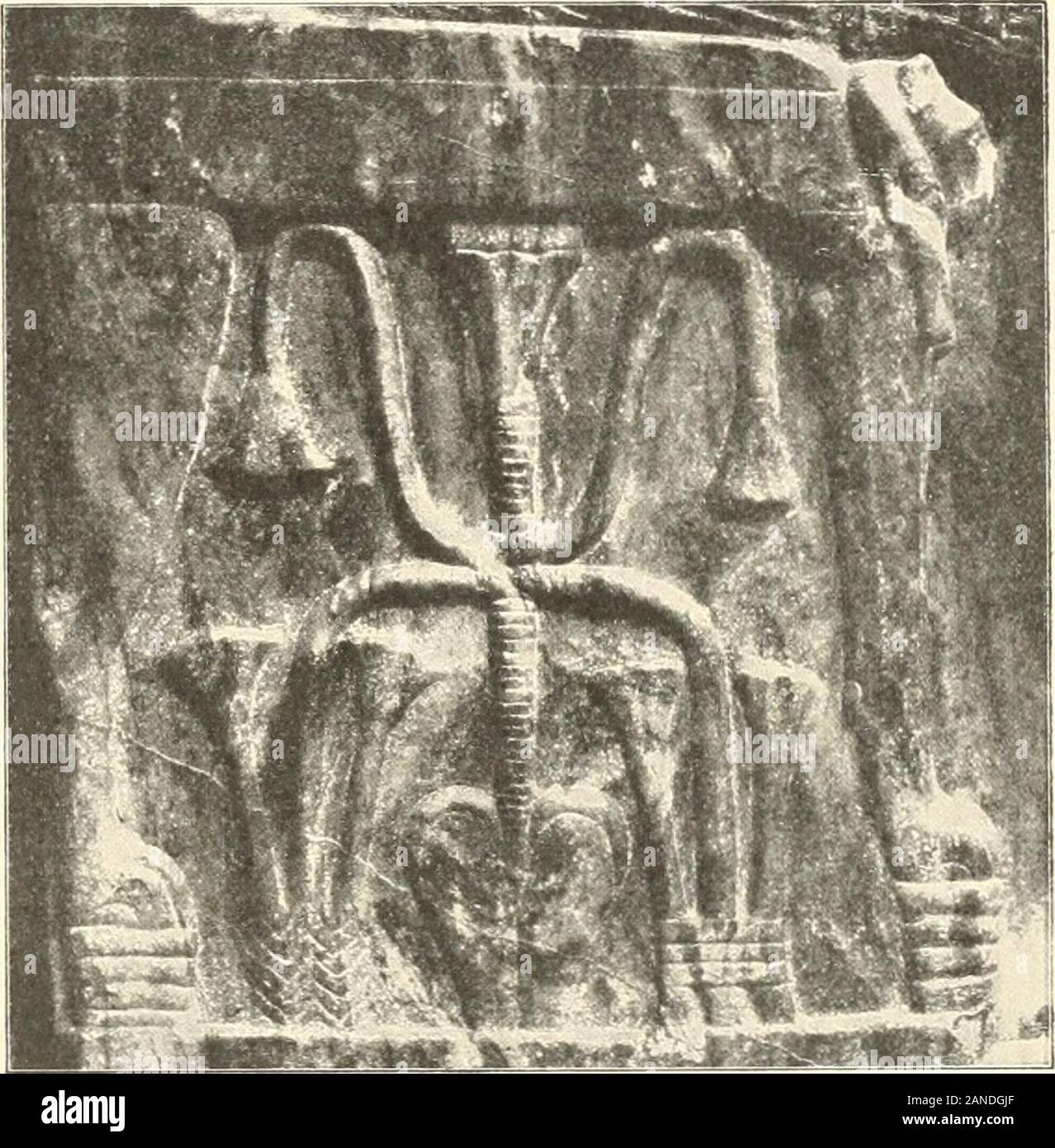 Statuen und Statuetten von Königen und Privatleuten im Museum von Kairo, Nr. 1-1294. Ein je-der Seite bezeichnet. Zwischen den Lö-wenfüßen ein jeder Thronscilc ein V-Zeiciicu mit den darumgehnudenen aj) j) iU-Pflanzen von Ober- und Unterägypten in boJKju IJelief. Das Y-Zeiclien hat ungleich getedtes luiteres (tlied (Lungej. Horizontale geri [) ptes Mittelglied (Luft-Röhre), das nicht ganz Diu-ch das untere Stück hindurchgeht, und unter demviereckigen Kopf ein jfdnienartiges Oberglied. Sterben sterben Formdes Papyius Nordptlanze hut mit Angabe der Kopf Blättchen. Sie wächst aus einer Anzahl vonFußblättern Stockfoto