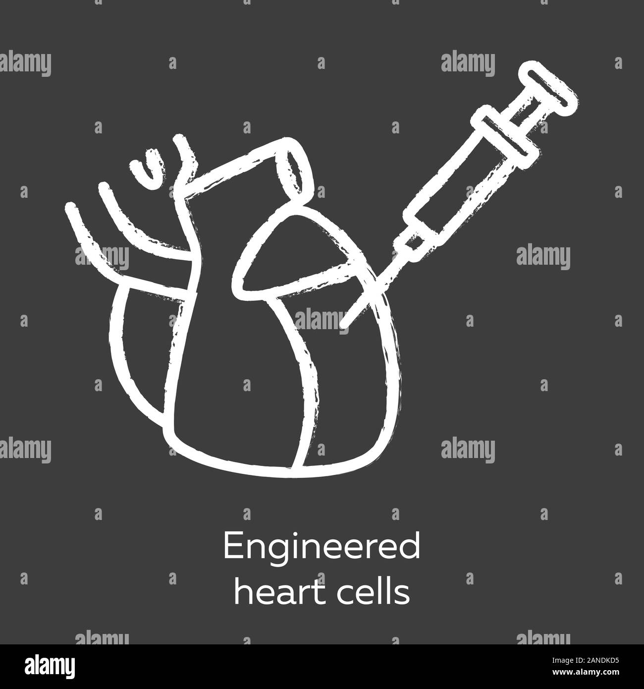 Ausgereifte Herzzellen chalk Symbol. Human engineered kardialen Gewebe. HECTs. Herz Injektion. Studie kardiale Physiologie. Bioengineering. Biotechnologie. Stock Vektor
