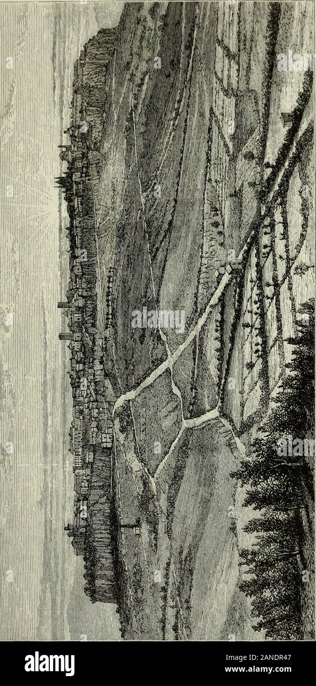 Die Städte und Friedhöfe von Etrurien. rou Begegnung Zahlen aus der Etruskischen • Ann. Inst 1871, s. "r&gt; - 27 (Klucg - Tcylikes dieser Beschreibung bei Naucra - inaini). Mo. Inst. IX. Lav. 26, Tav. tis am Nil. dagg. A.B.C. Athenseus (XI. Gl) spricht von G Bei Mancinis scavi werden Sie ein Mann, llflliiliil finden! Illill f, i!li i ii Ra."..-J; lillli iliiiJ ii! Ich*? Ml HI. Ein! ? Iili! 1:!., lib)? HI.Mi ich [? ICH ICH,,:..!, Kap. xxxvii. J TOMBA DELLE DUE BIOHE. 51 Geist - Welt; auf der rechten Pfosten Charun, mit bläulichen Fleisch andyellow Flügel, schwingt eine Schlange, die Eindringlinge zu halten; oppositehim stand Stockfoto