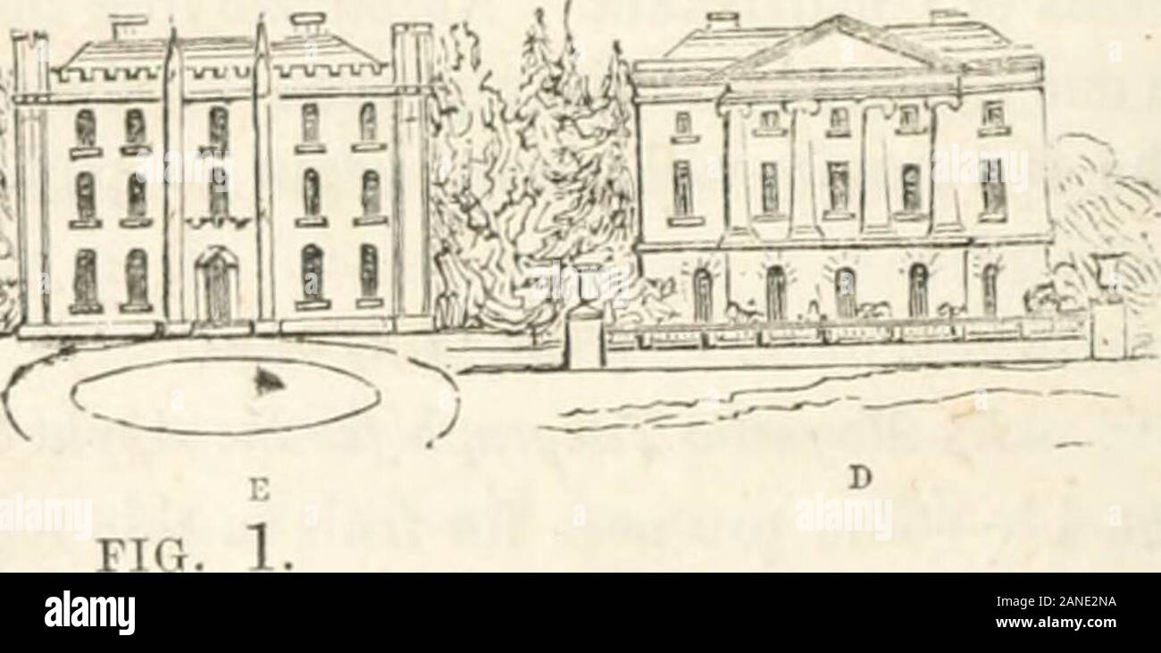 Die Gärtner und Journal des ländlichen Kunst und ländliche Geschmack. om die Daysof Vitruv bis in die heutige Zeit, die hinzugefügt werden können, um alle, die im letzten Jahrhundert appearedwithin zum Thema Gothic Antiquitäten haben, wenig oder keine Ankündigung einer Verwendung der relativen eiFects der beiden Stile, mit einander verglichen; noreven derjenigen, die Grundsätze, nach denen Sie zu unterscheiden sind, characterizedand, die Landschaft der Natur angeeignet. Es scheint, als ob die ganze scienceof Grecian Architektur bestand in der fünf Säulen, und dass der Gotik, in Spitzbögen und gekerbte Ba Stockfoto