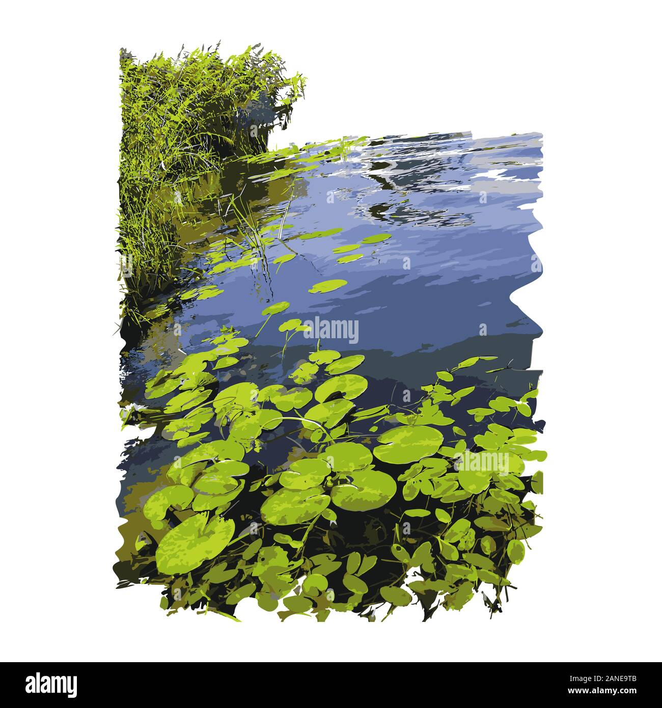 Realistische See mit Seerosen oder Lotus Blätter und Reed auf weißem Hintergrund. See Pflanzen, Natur Landschaft. Ruhigen Teich Szene. Vektor Stock Vektor