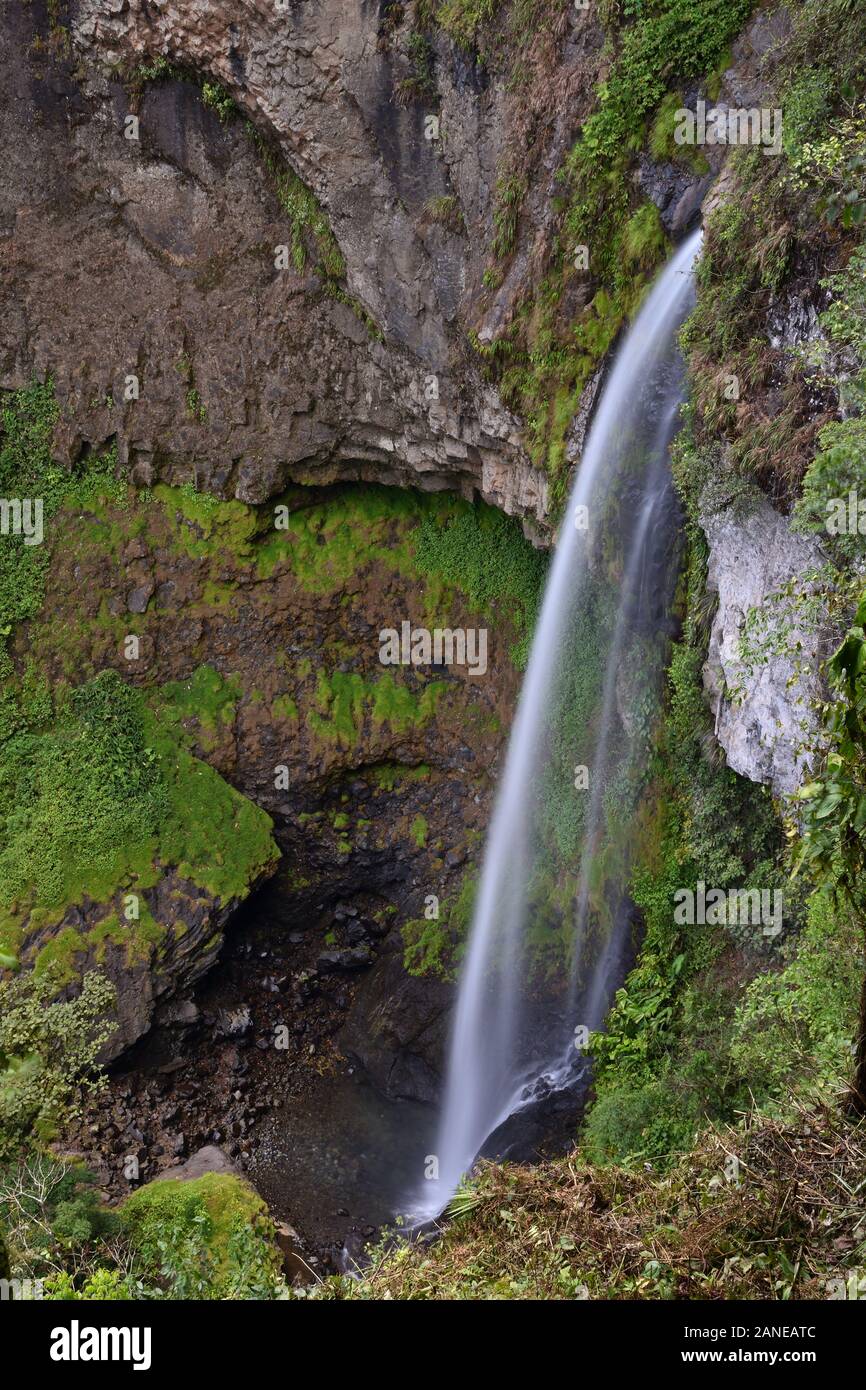 Wasserfall des Ewigen Regenwaldes für Kinder Stockfoto