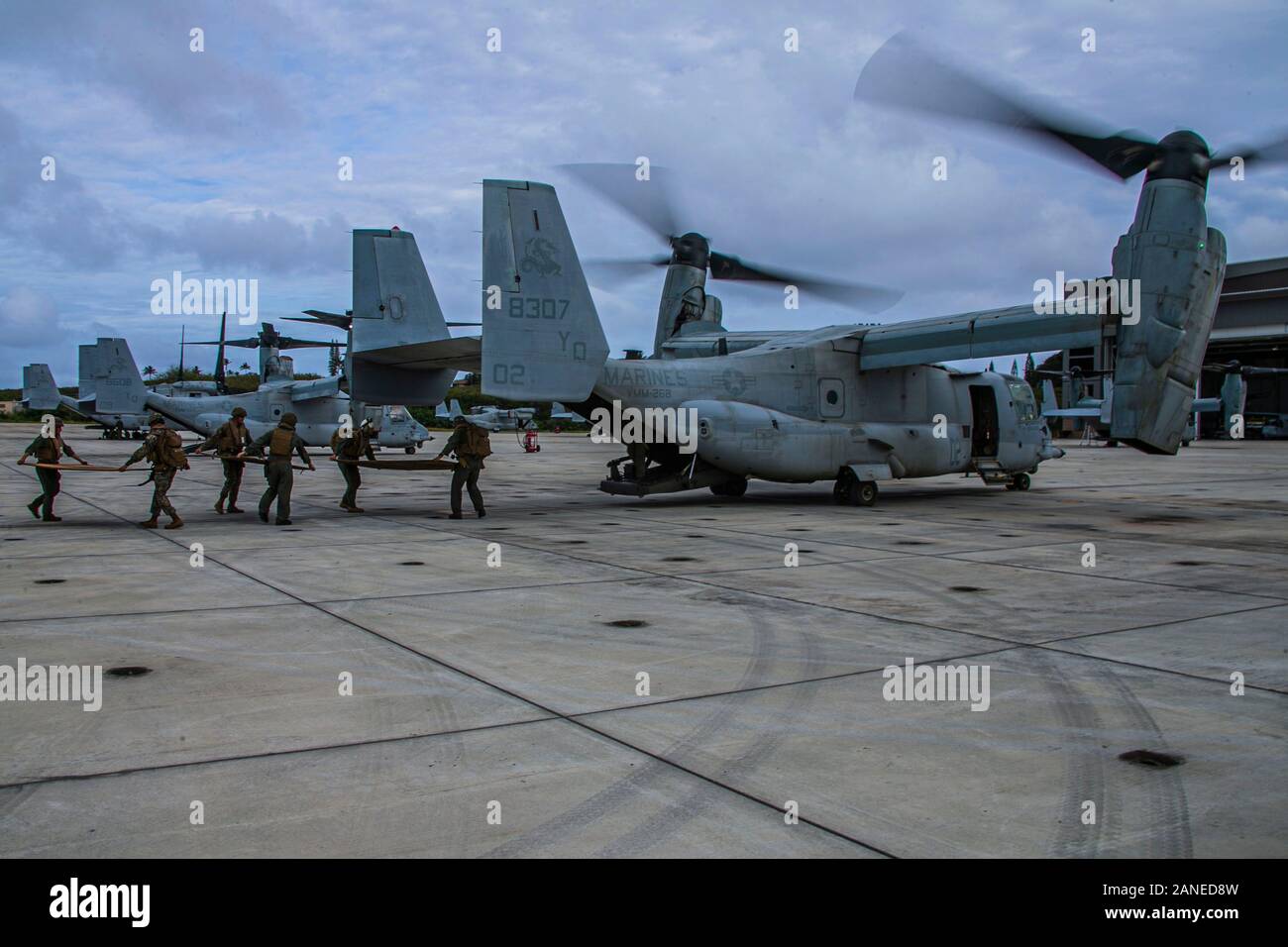 Us-Marines mit Marine Unmanned Aerial Vehicle Squadron 3, Marine Flugzeuge Gruppe 24, schleppen Ausrüstung auf einer MV-22 Osprey B auf der Marine Corps Base Hawaii, Jan. 15, 2019. VMU-3 durchgeführt, um die Belastung mit Marine Medium Tiltrotor Squadron 268 als Teil einer Expeditionary einsetzen, um den Kampf gegen die Bereitschaft und Letalität zu erhalten. (U.S. Marine Corps Foto von Lance Cpl. Jakob Wilson) Stockfoto