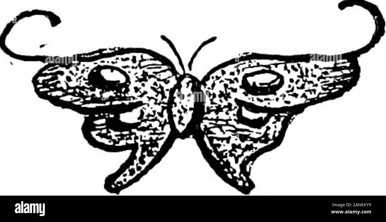 Zweifel und andere Dinge, Vers und Abbildungen. [162] von Microsoft® digitalisiert Worte unsere Worte in der Tat sehr stark mit einem reichen Wortschatz variieren, aber einige wesentliche werden als Atem, wie Leben und Geburt, Liebe und Tod. Mit diesen vier Saiten, auf der wir playBegins und endet unsere Kurzlebige legen.. [163] Digitalisiert von Microsoft® die Abwesenden heilen lasse ich den Hafen weit rückwärts, und das offene Meer, und doch kann ich aber leider vernarrt Umdrehunghineindrehen und auch an Dich denken. So hat der Liebhaber Schluchzen und sighAnd denken sein Leben gesprengt wurde; Herr weiß, daß das Leben süß war, dass enoughWhile Flirt dauerte. Er ruft seine Liebe eine Dis Stockfoto