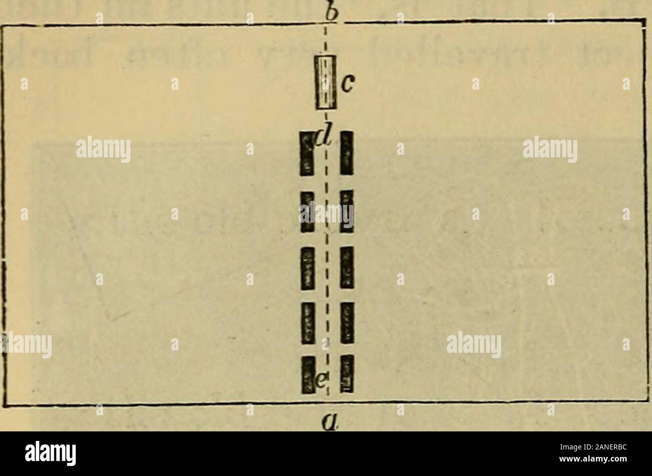 Tierische Intelligenz. Abb. 2. Stationen und leitet und rund um die Stelle, wo der covetedobject ersten Stand. Dann würden sie ihre stepstoward das Nest nachzeichnen, wandern Hin und Her von der Seite Toside zwischen Nest und der Punkt A, und nur aftervery wiederholten Bemühungen um den ursprünglichen Standort des larvaereach, wie sie waren, versehentlich den gewünschten at B. Gegenstand daher die Ameisen offenbar nicht an der sightof den Bleistift geführt wurden. Dasselbe ist auch von einer anderen Form ofexperiment gezeigt. Einige Essen war an der Stelle ein (Abbn. 3 und 4) auf ein Brett von 20 Zoll x 12 Zoll, 36 Tier Stockfoto