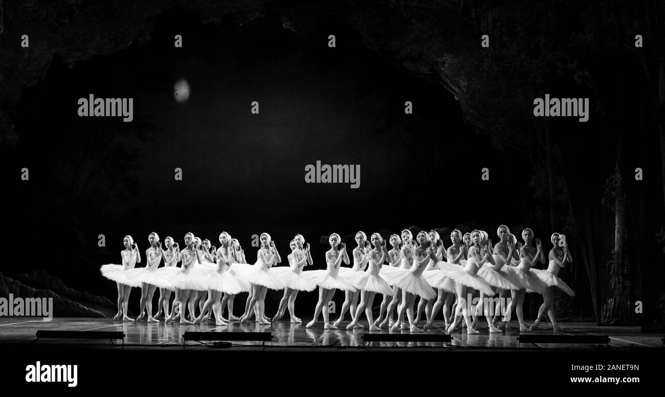 New York, NEW YORK - Januar 16, 2020: Tänzer des Corps de Ballet durchführen Grand Schwanensee Ballett von Shanghai während der Pressekonferenz am Lincoln Center David Koch Theater Stockfoto