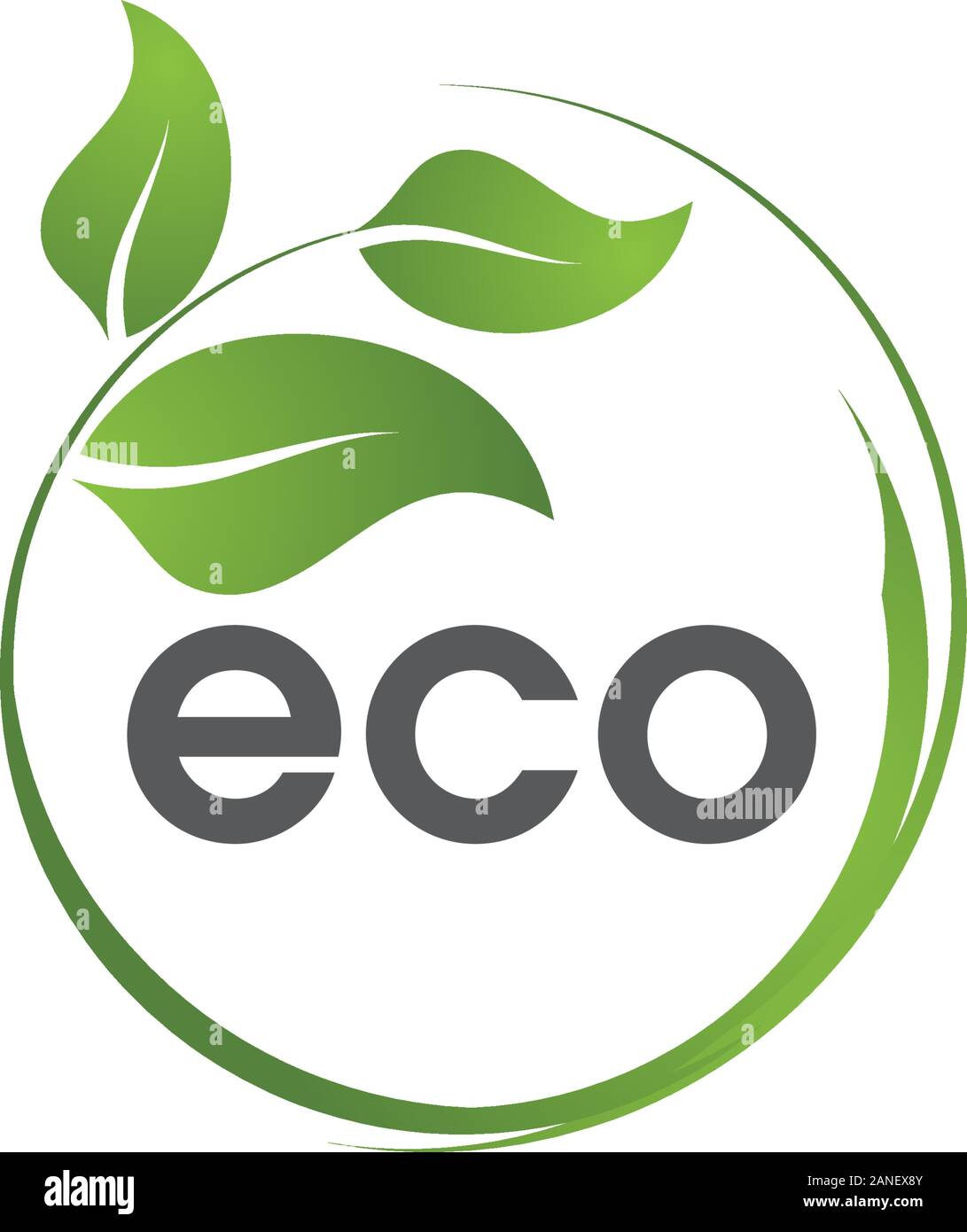 Bio eco Baum Blatt ökologie Natur element Vektor Stock Vektor
