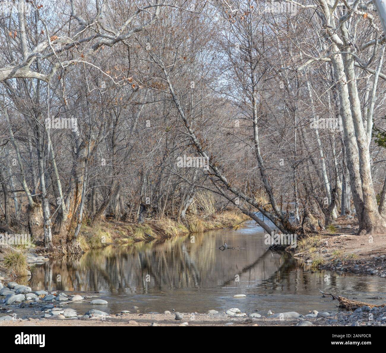 West Clear Creek in Camp Verde, Yavapai County, Arizona, USA Stockfoto