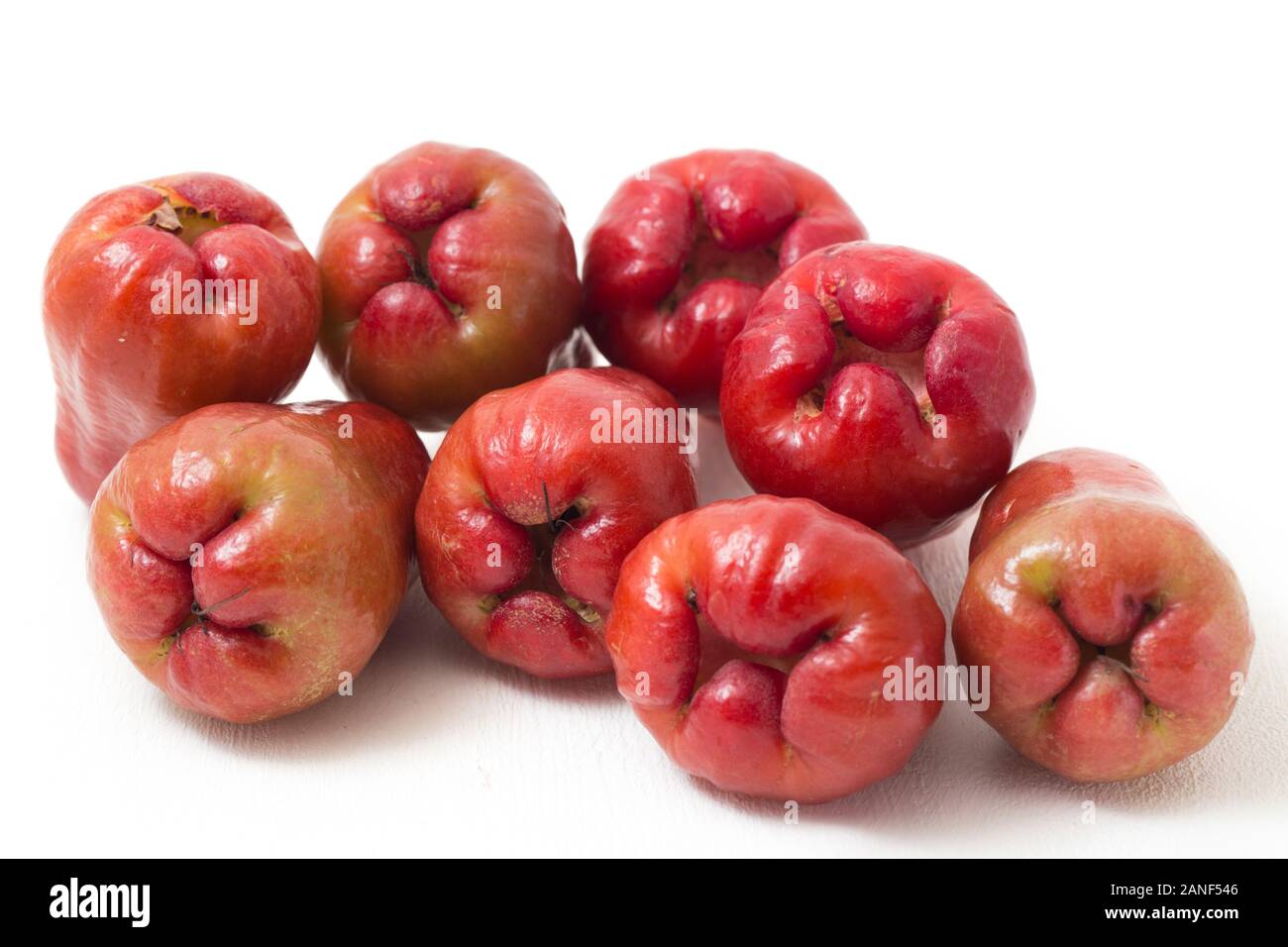 Rose Äpfel oder chomphu oder Java Apple oder Syzygium Samen auf weißem Hintergrund Stockfoto