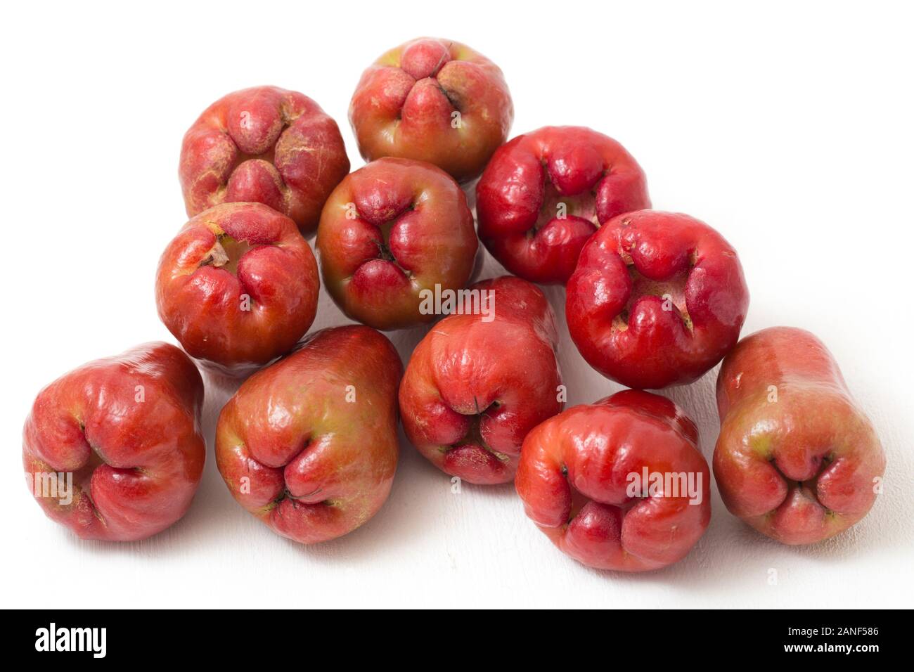 Rose Äpfel oder chomphu oder Java Apple oder Syzygium Samen auf weißem Hintergrund Stockfoto