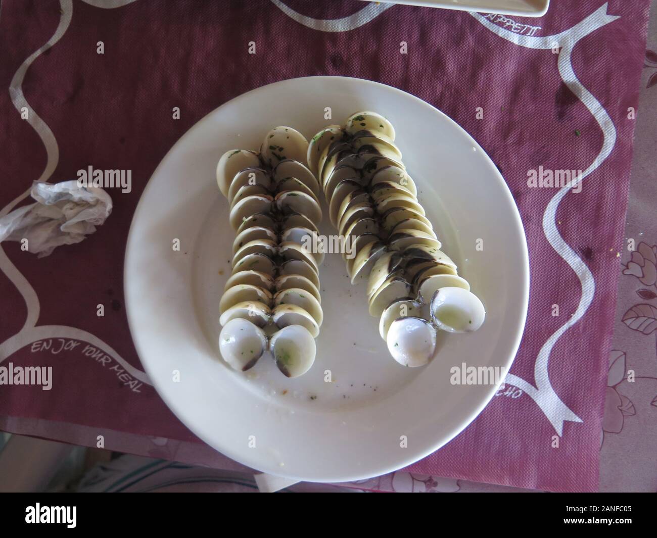 Ordentlich Venusmuscheln auf Platte nach köstliche Mahlzeit im andalusischen Restaurant arrangiert Stockfoto