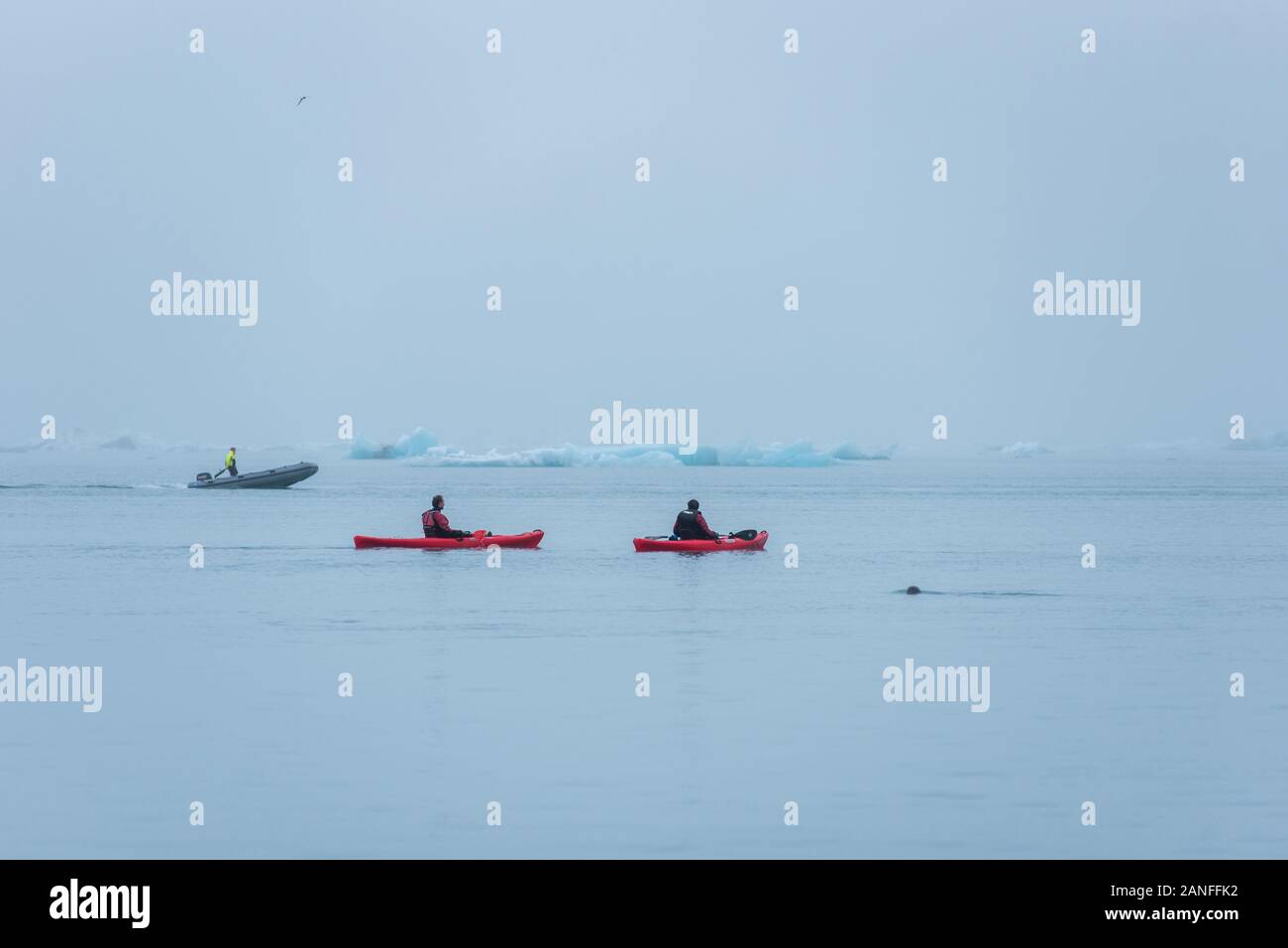 JOKULSARLON, ISLAND - 22. Mai, 2019: Der Mann, der das Paddeln im Kajak in der eisigen Gewässern der Gletschersee Jökulsárlón gletscherlagune zwischen Eisbergen Stockfoto