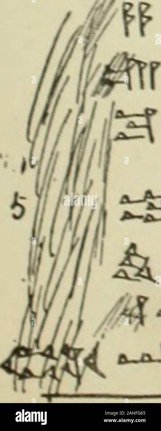 Babylonische Liturgien, die sumerischen Texte aus der frühen Periode und aus der Bibliothek des Assurbanipal; die meisten transkribiert und mit Einleitung und Index übersetzt. Ich..|m. MM IK. II II 4 w n s... | t*-ich-ih-. -;;;;;;;; I-w • K | •* - Es W ft n, i U &Lt;f21. - Kranke)^t- & x" / - 2 6, b6 ich? H* NTr^ rr^v^ Stockfoto