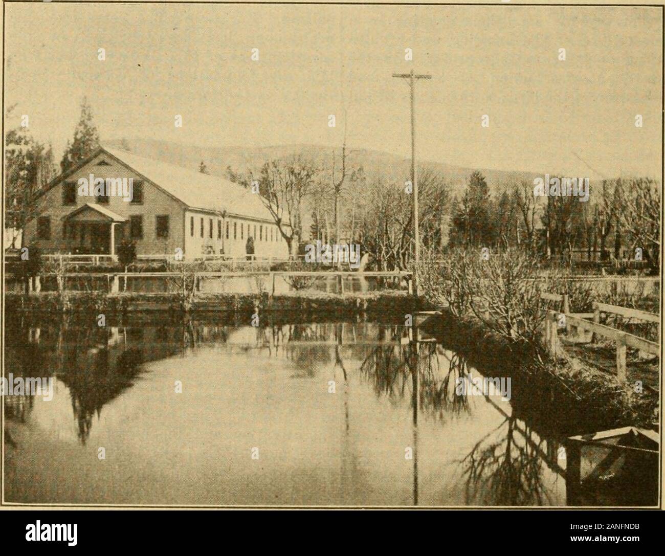 Kalifornien Fisch und Spiel. Der letzte Teil im Januar. Vorjahr um den Erhalt dieser Sendung ofeggs. Fort Seward Brüterei beenfitted hatte sich für fishcultural Operationen für die Saison 1917. Die constructionwork begann im September oflast Jahr, und die Reparatur der hatchingequipment wurden während der Zusammengeht. Dezember abgeschlossen. Der Lachs Eier areall schraffiert dargestellte und die Fische sind in Excel-lent Zustand. Sobald der Fisch die frei schwimmenden Bühne havereached, theywill in Mad und Aal Flüsse, Humboldt County verteilt werden. Sobald steelhead Forellen Eier areready Für den Versand her Stockfoto